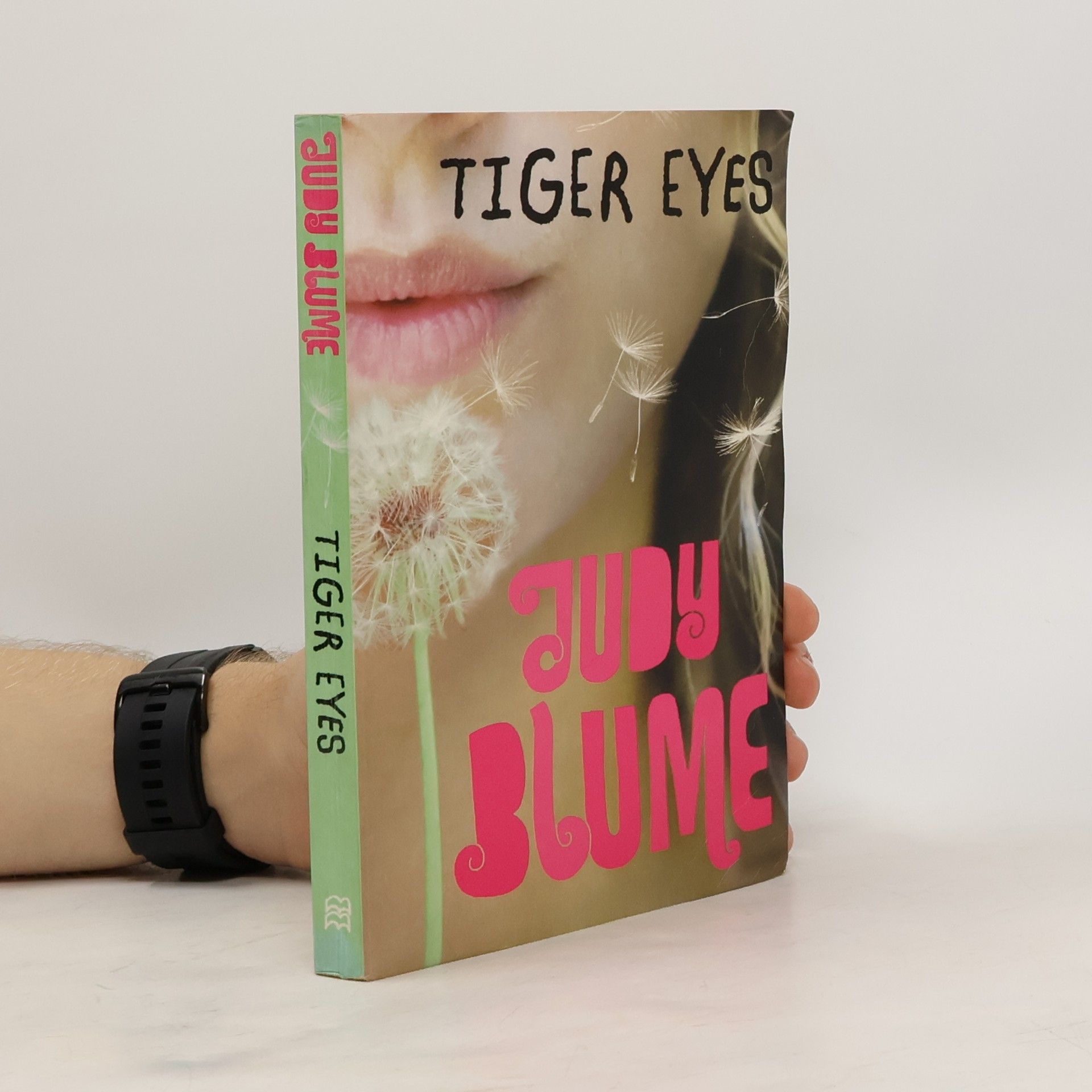 Judy Blume Tiger Eyes