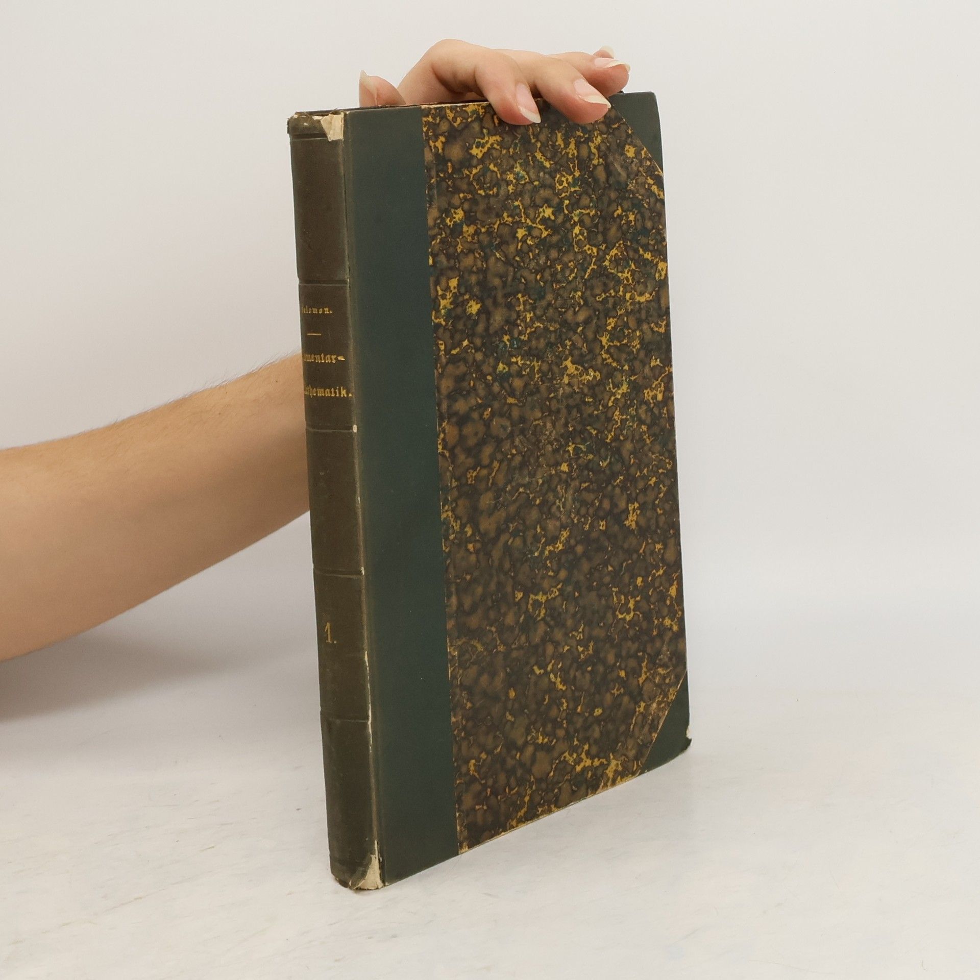 Joseph Salomon Lehrbuch der Elementar-Mathematik für Ober-Realschulen