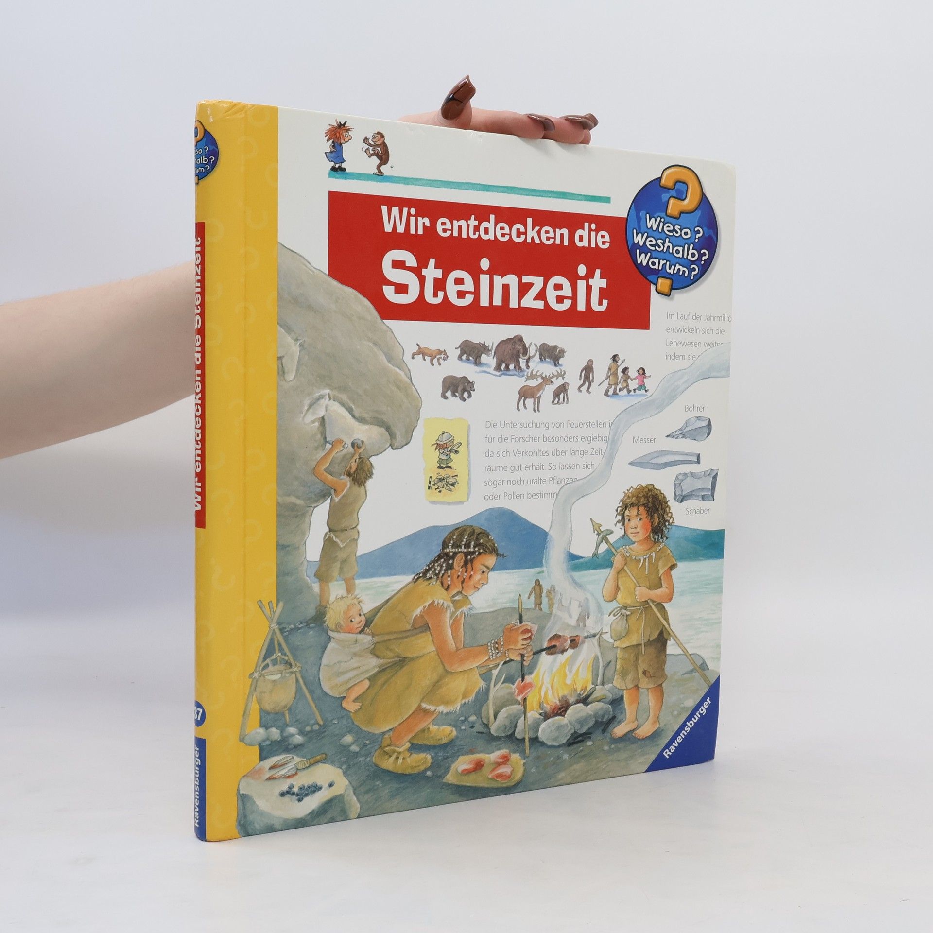 Doris Rübel Wir entdecken die Steinzeit