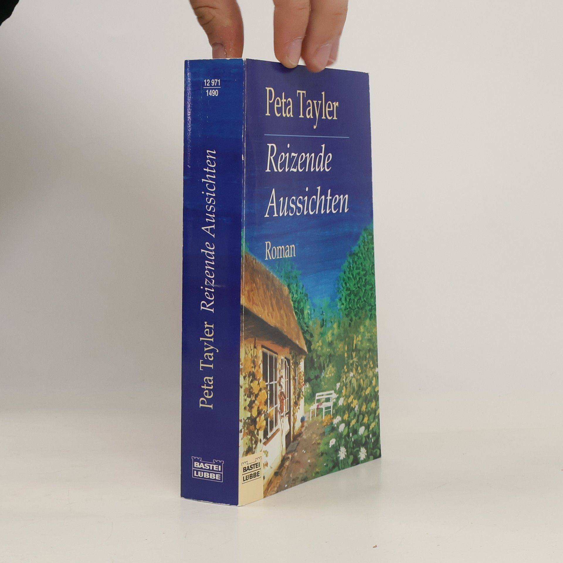 Peta Tayler Reizende Aussichten. Roman. Aus d. Engl. v. Doris Styron