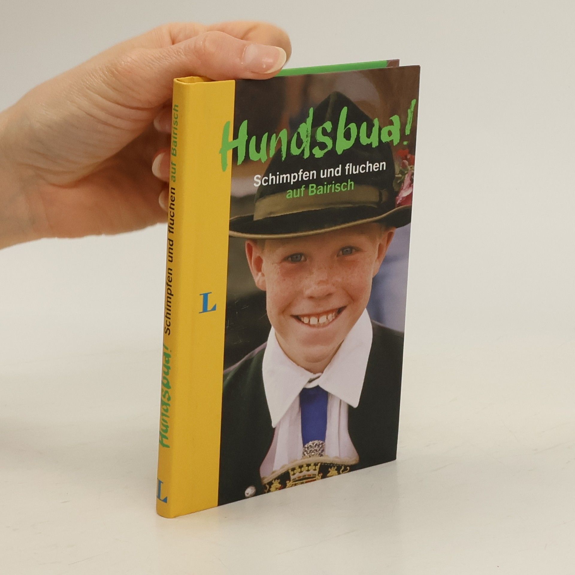 Autorenkollektiv Hundsbua! Schimpfen und Fluchen auf Bairisch