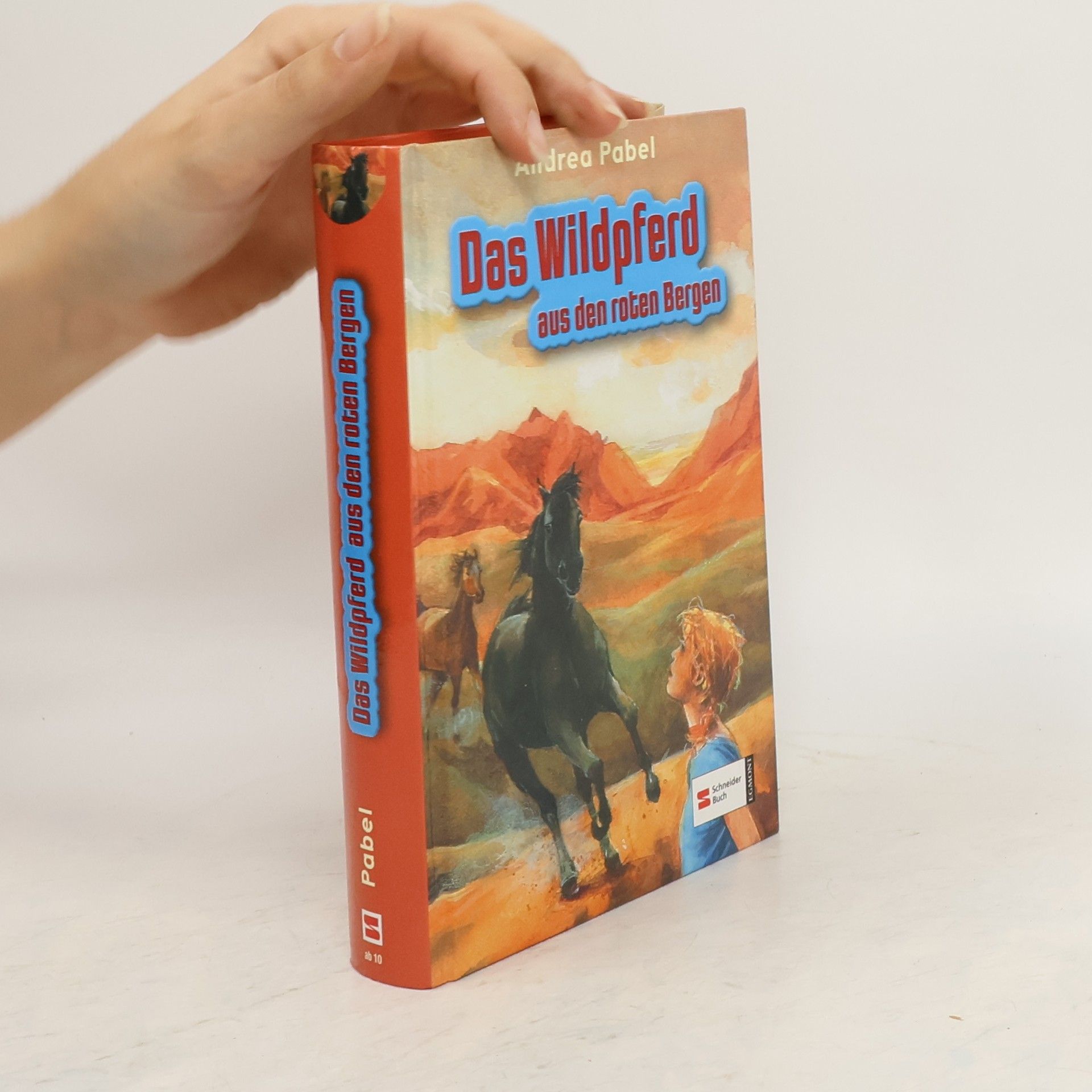 Andrea Pabel Das Wildpferd aus den roten Bergen