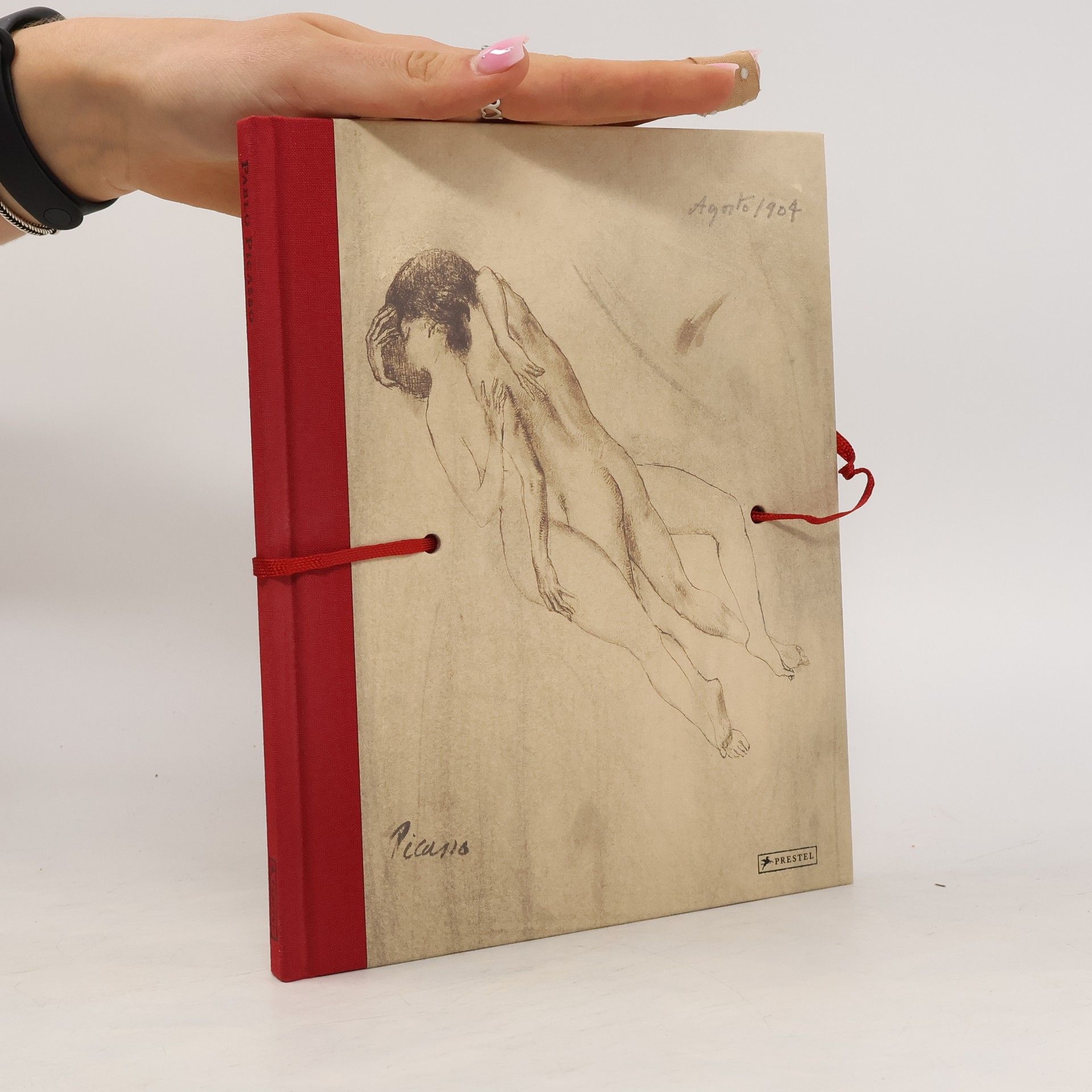 Pablo Picasso Erotic Sketches