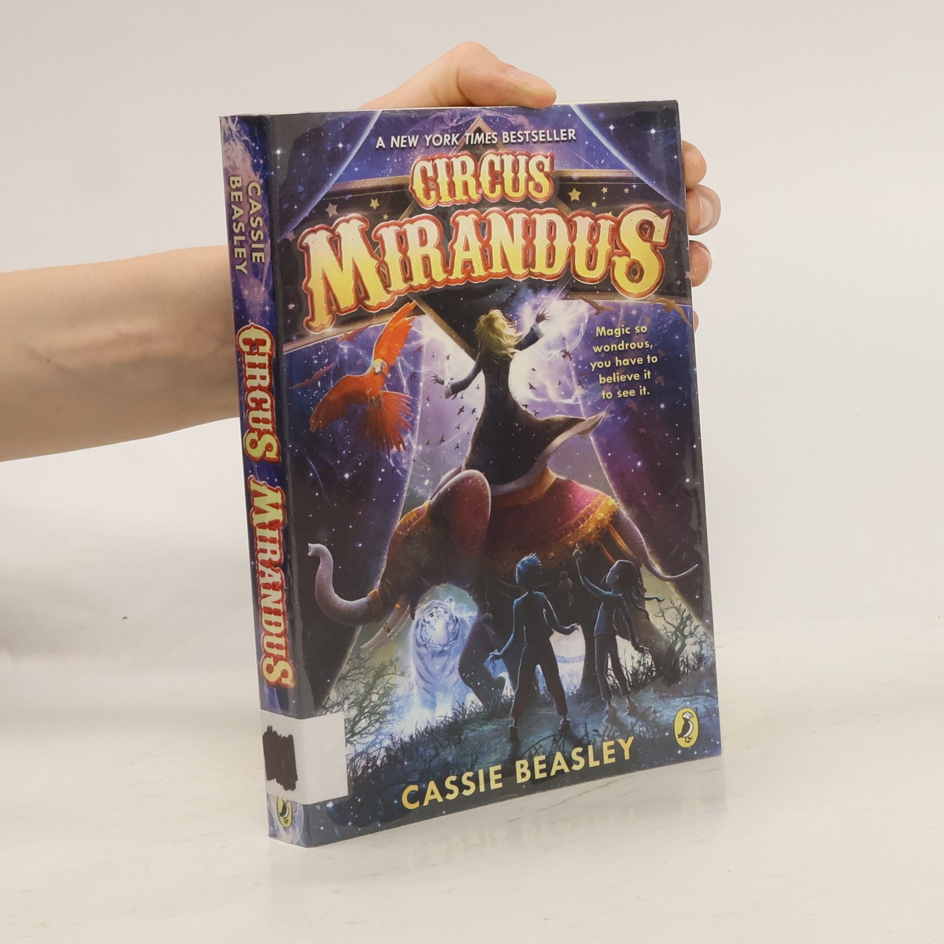 Cassie Beasley Circus Mirandus