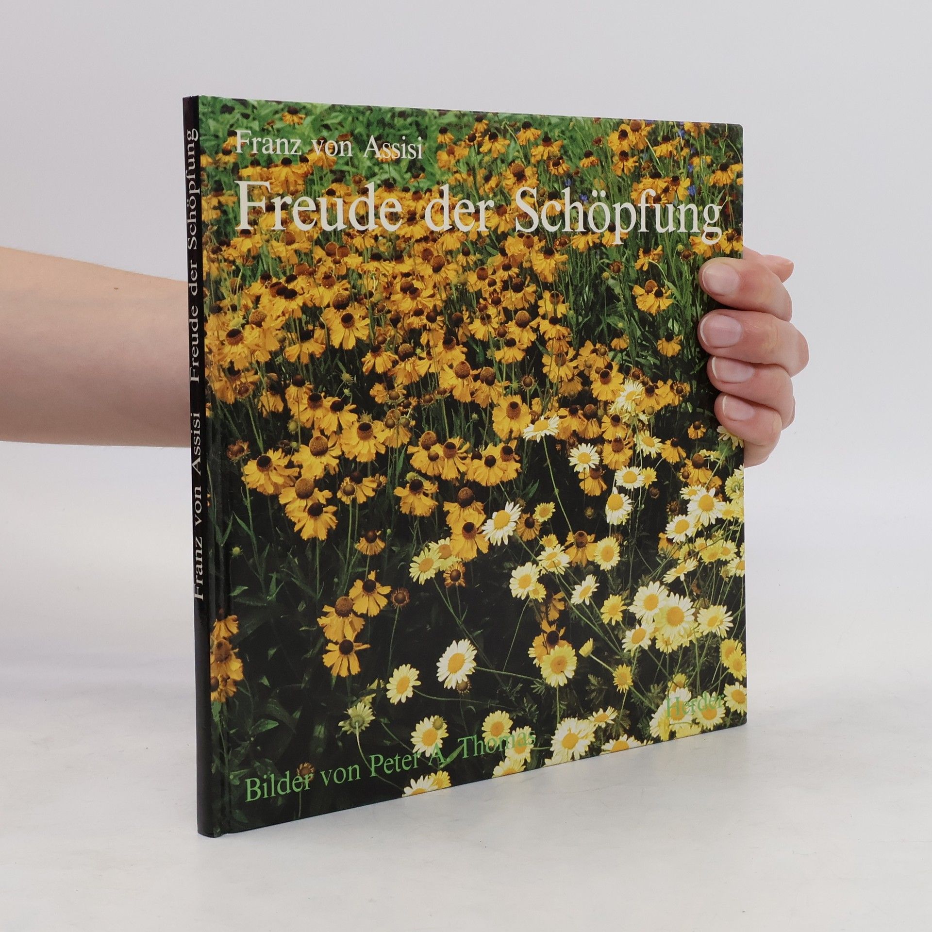 Saint Francis Freude der Schöpfung