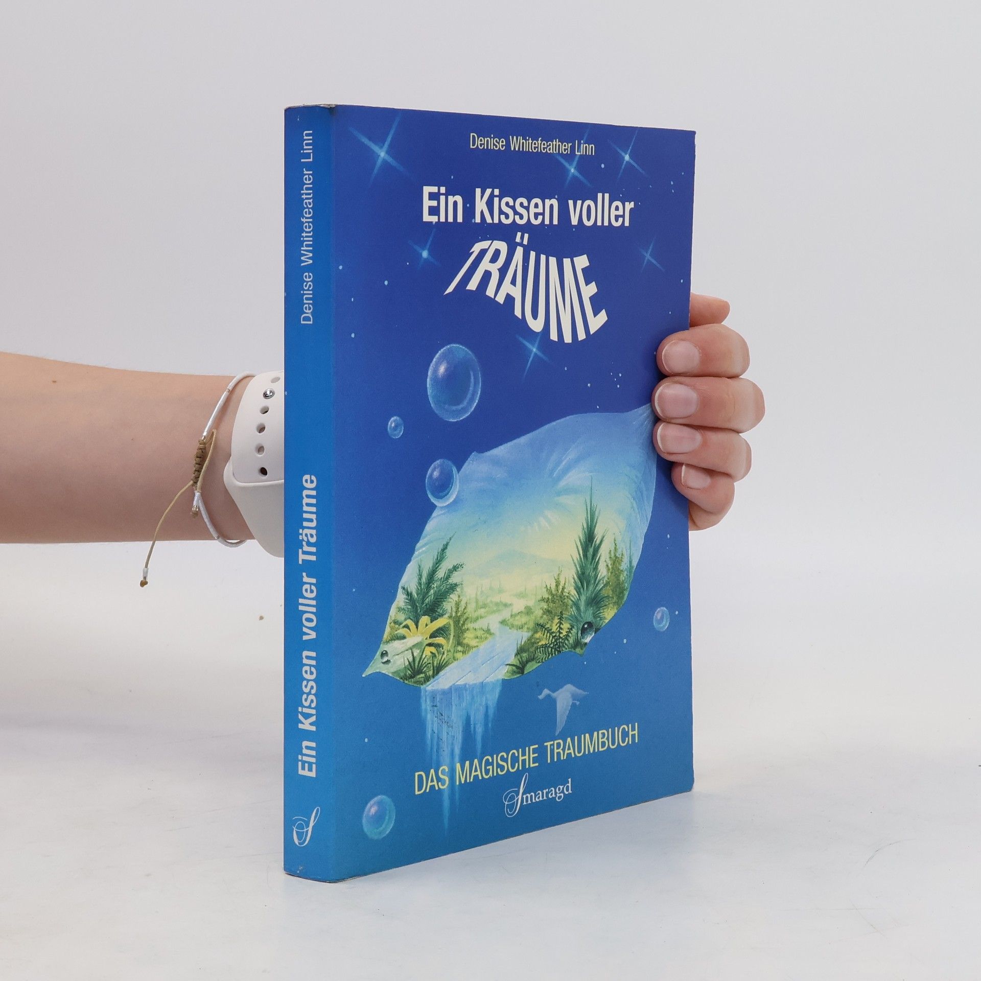 Denise Linn Ein Kissen voller Träume