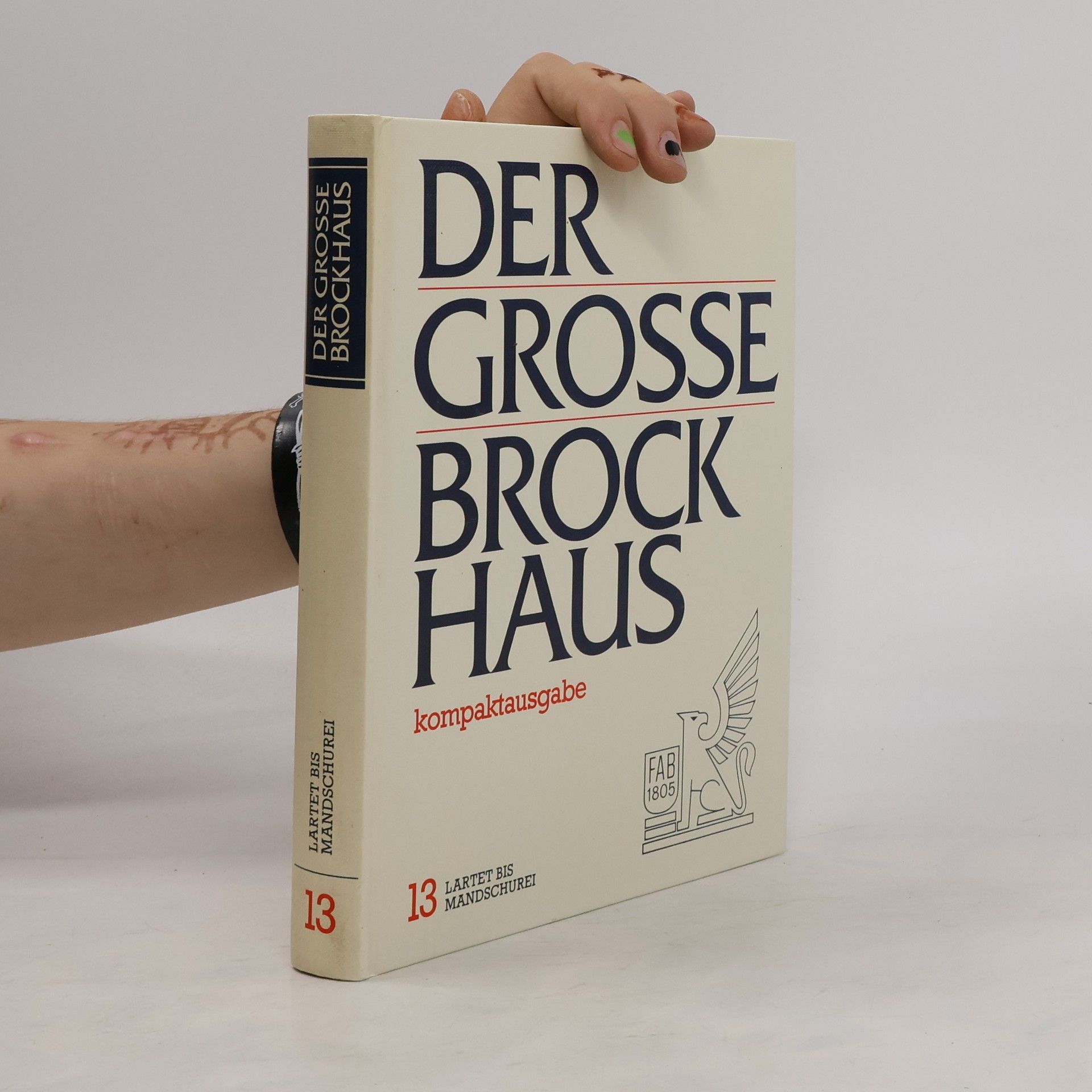 kolektiv Der Grosse Brockhaus 13