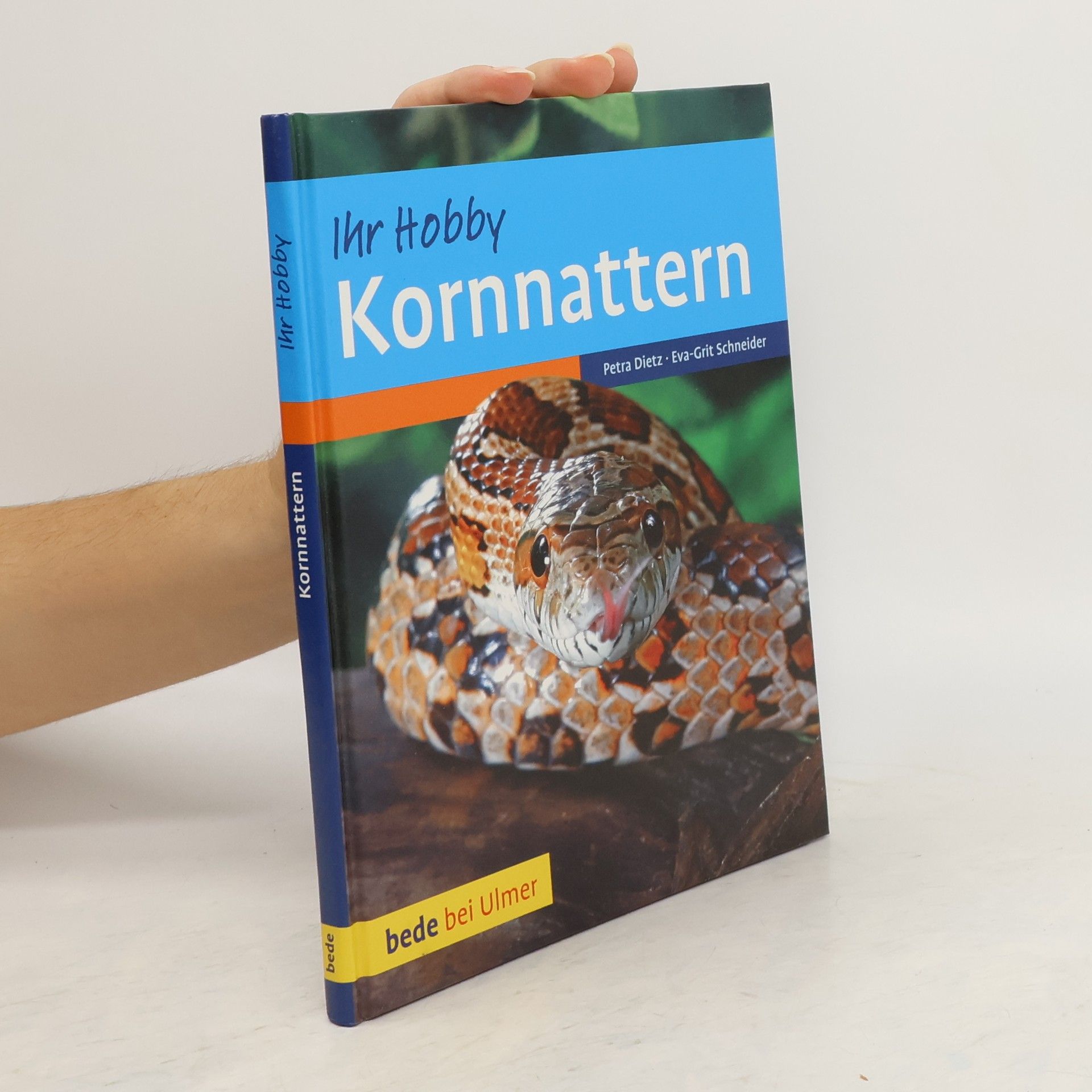 Petra Dietz Kornnattern