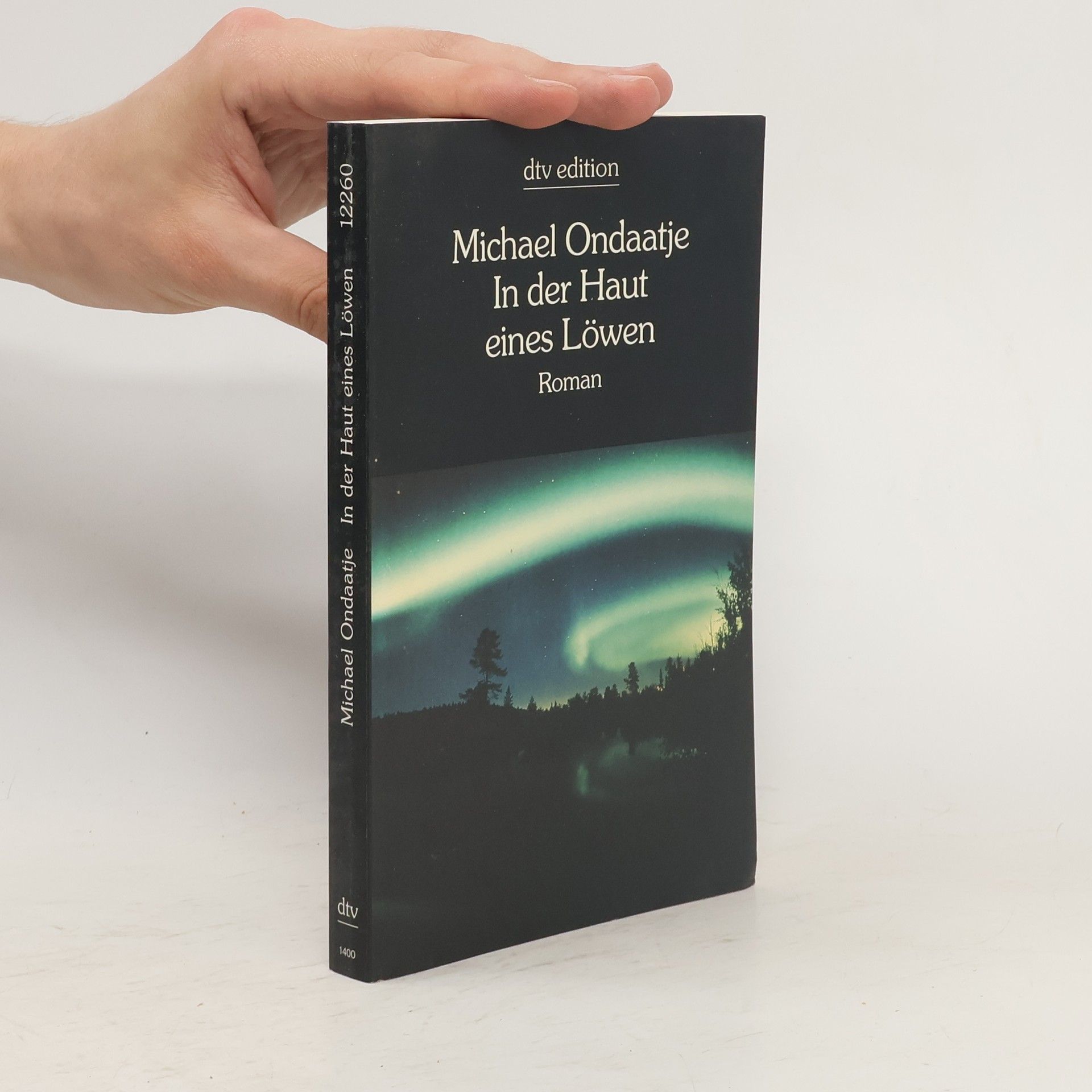 Michael Ondaatje In der Haut eines Löwen