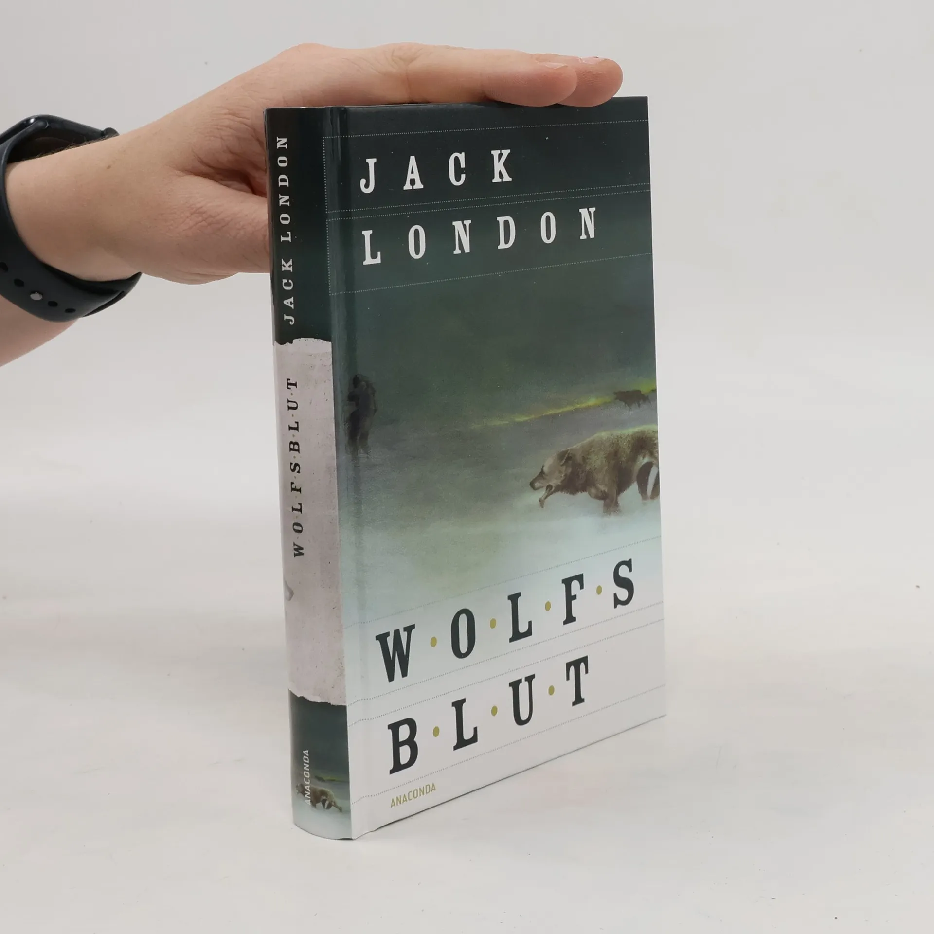 Ruf der Wildnis | Buch | Hardcover | Jack London