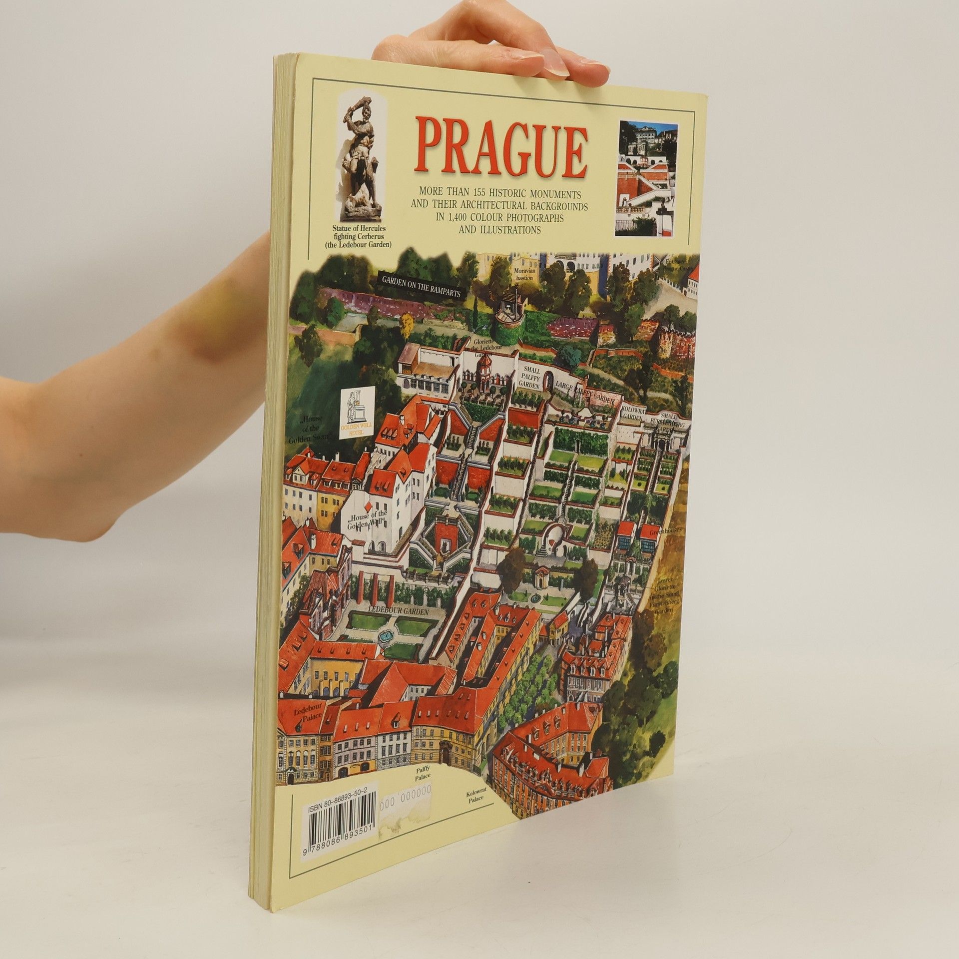 Tomáš Rygl Prague : [detailed picture guide]