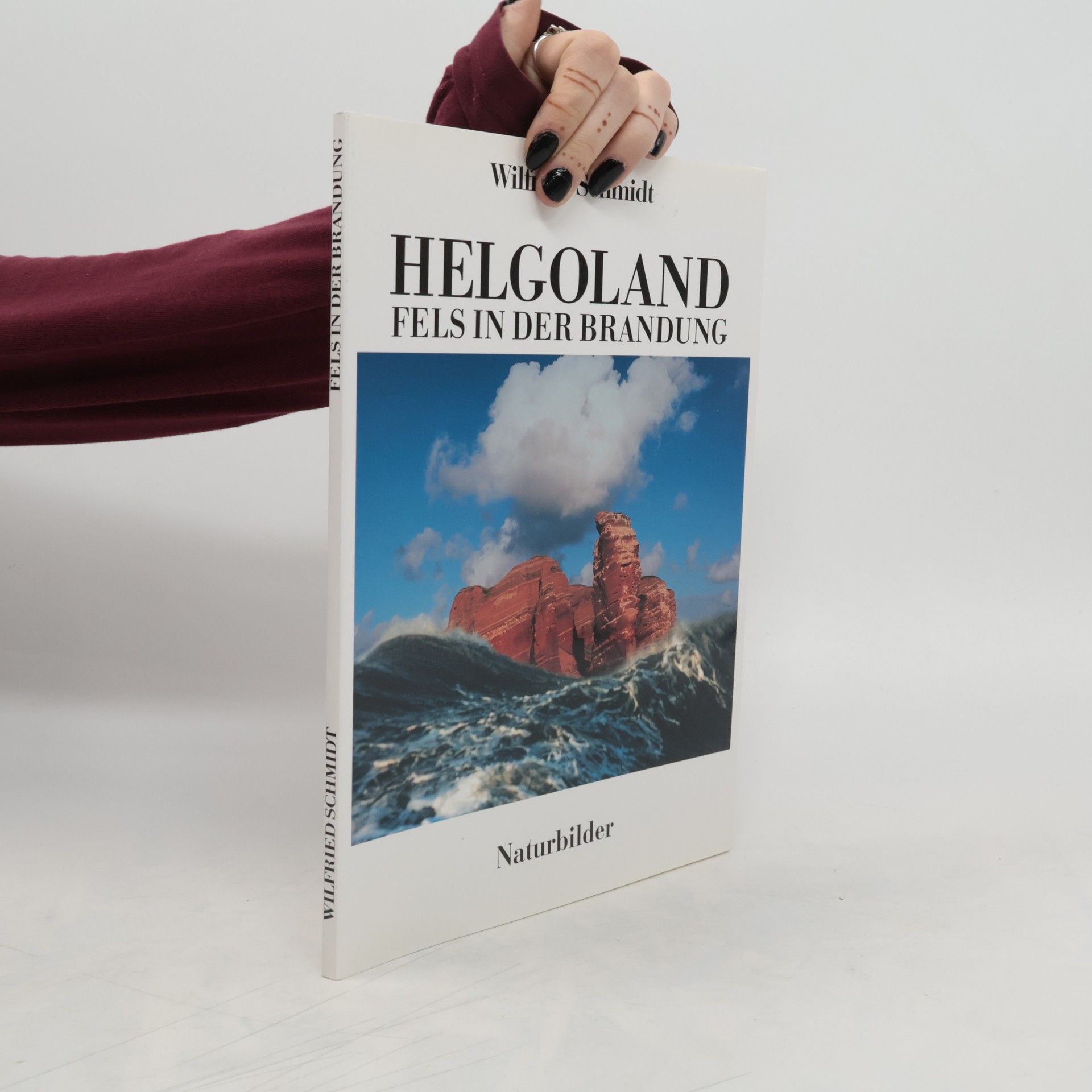 Wilfried Schmidt Helgoland - Fels in der Brandung