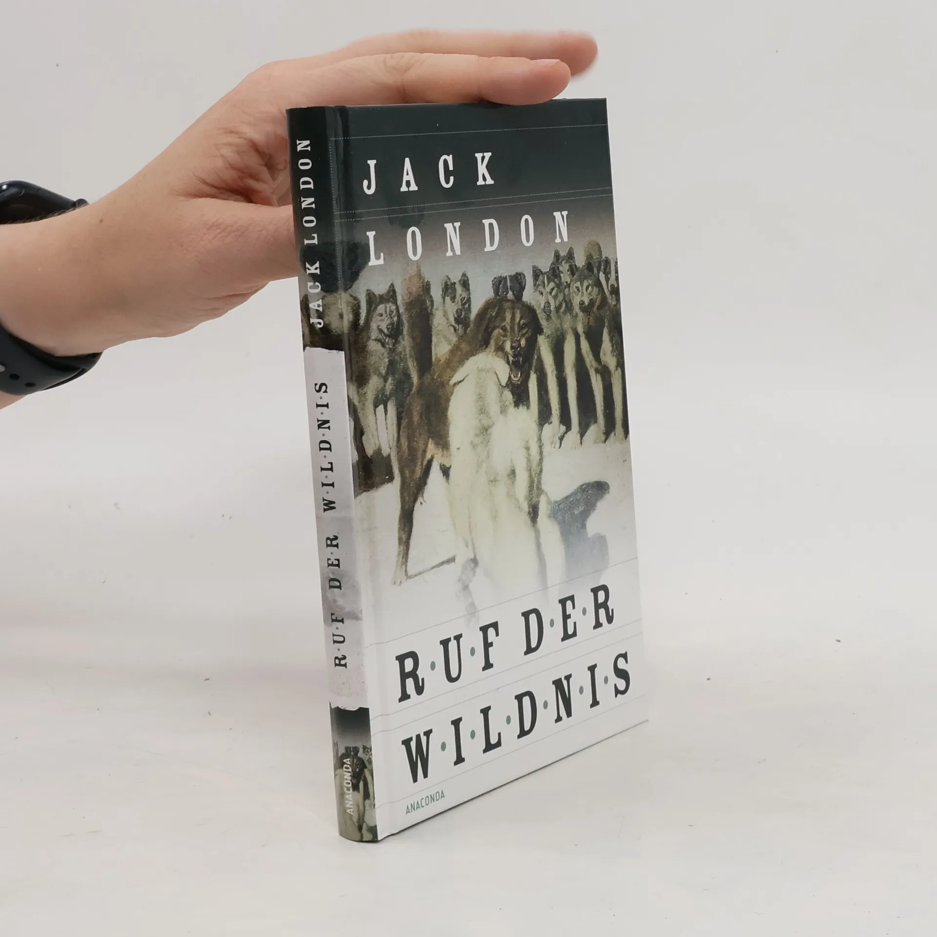 Ruf der Wildnis | Buch | Hardcover | Jack London