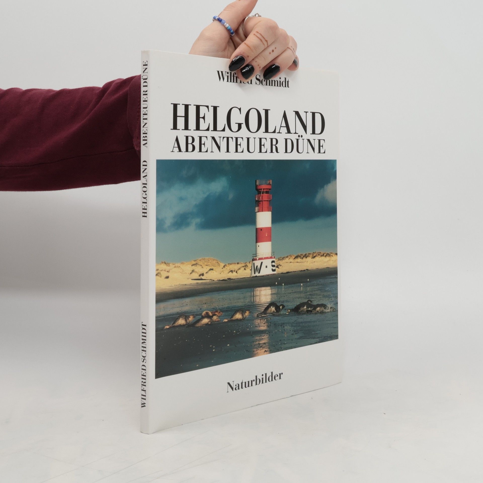 Wilfried Schmidt Helgoland abenteuer Düne