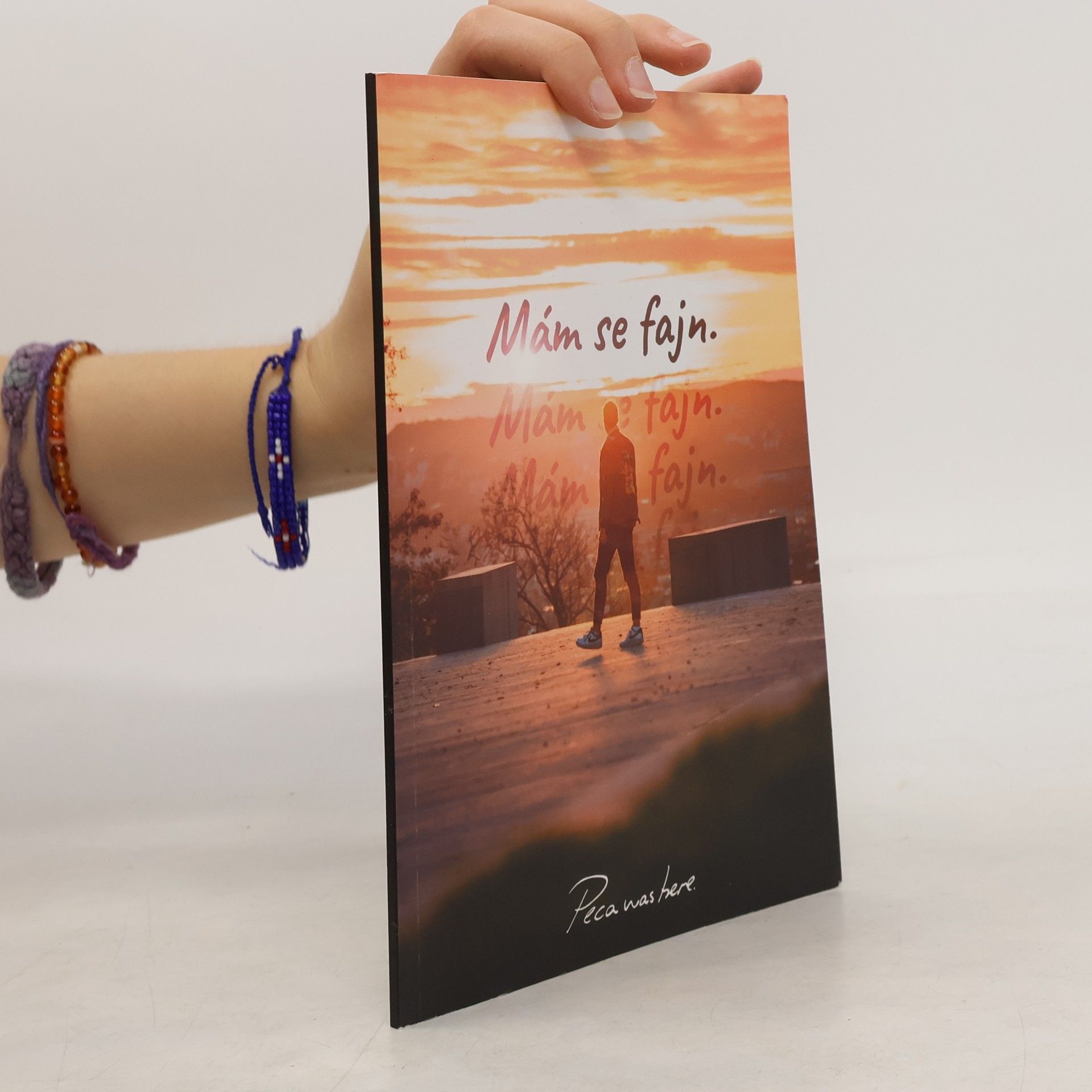 Petr Potměšil  Mám se fajn