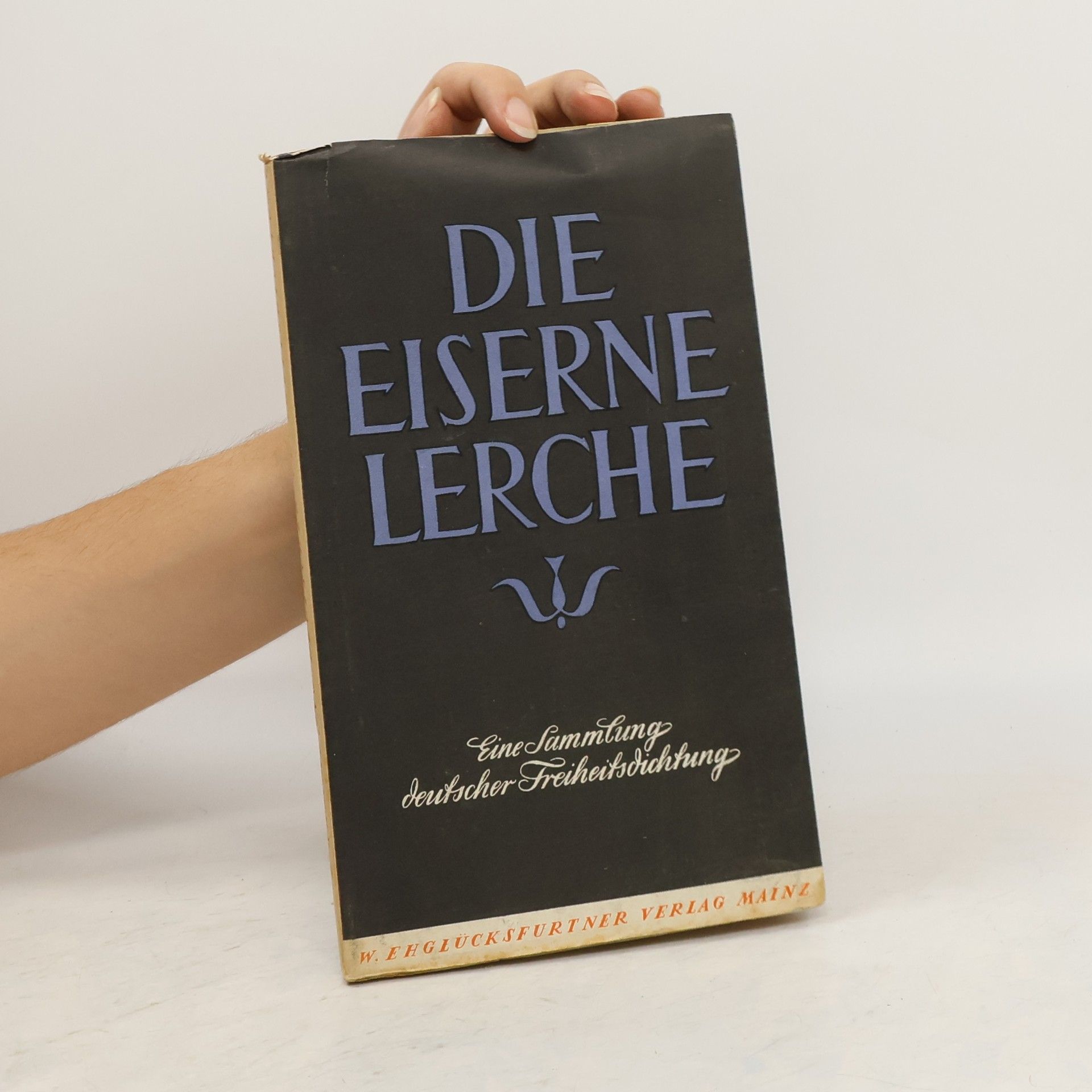 Autorenkollektiv Die eiserne Lerche