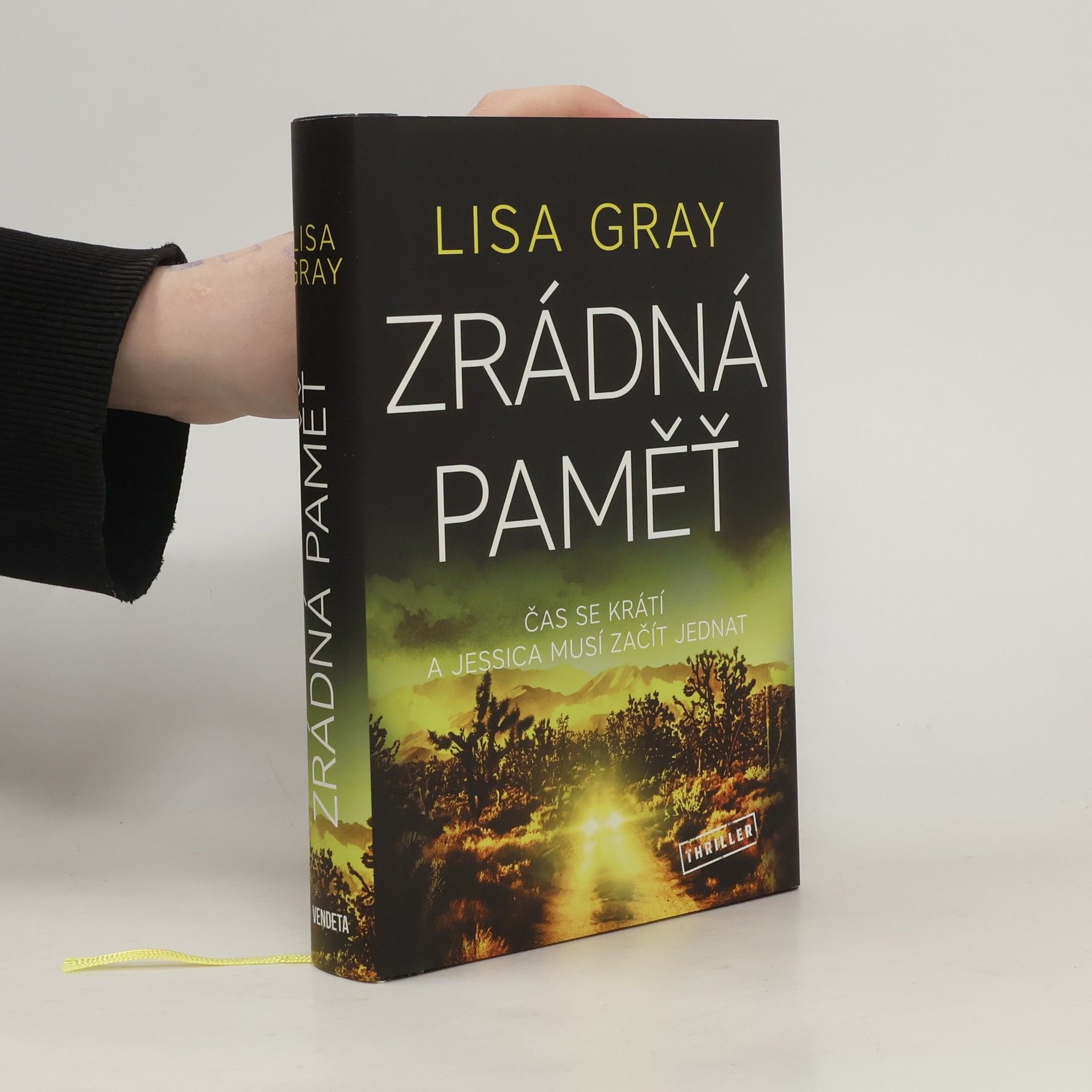 Lisa Gray Zrádná paměť