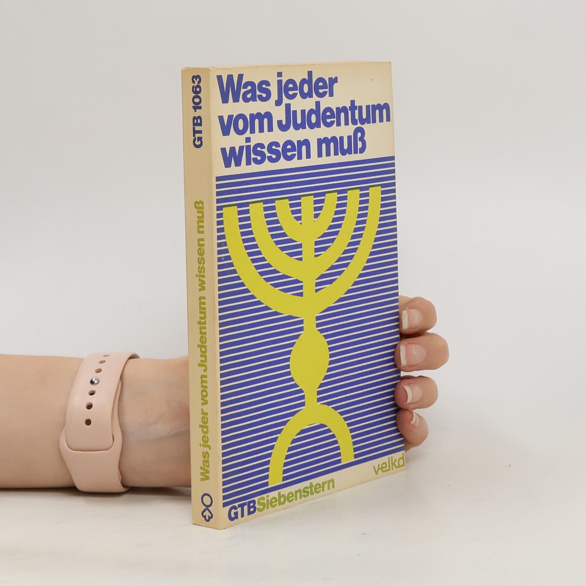 Autorenkollektiv Was jeder vom Judentum wissen muss