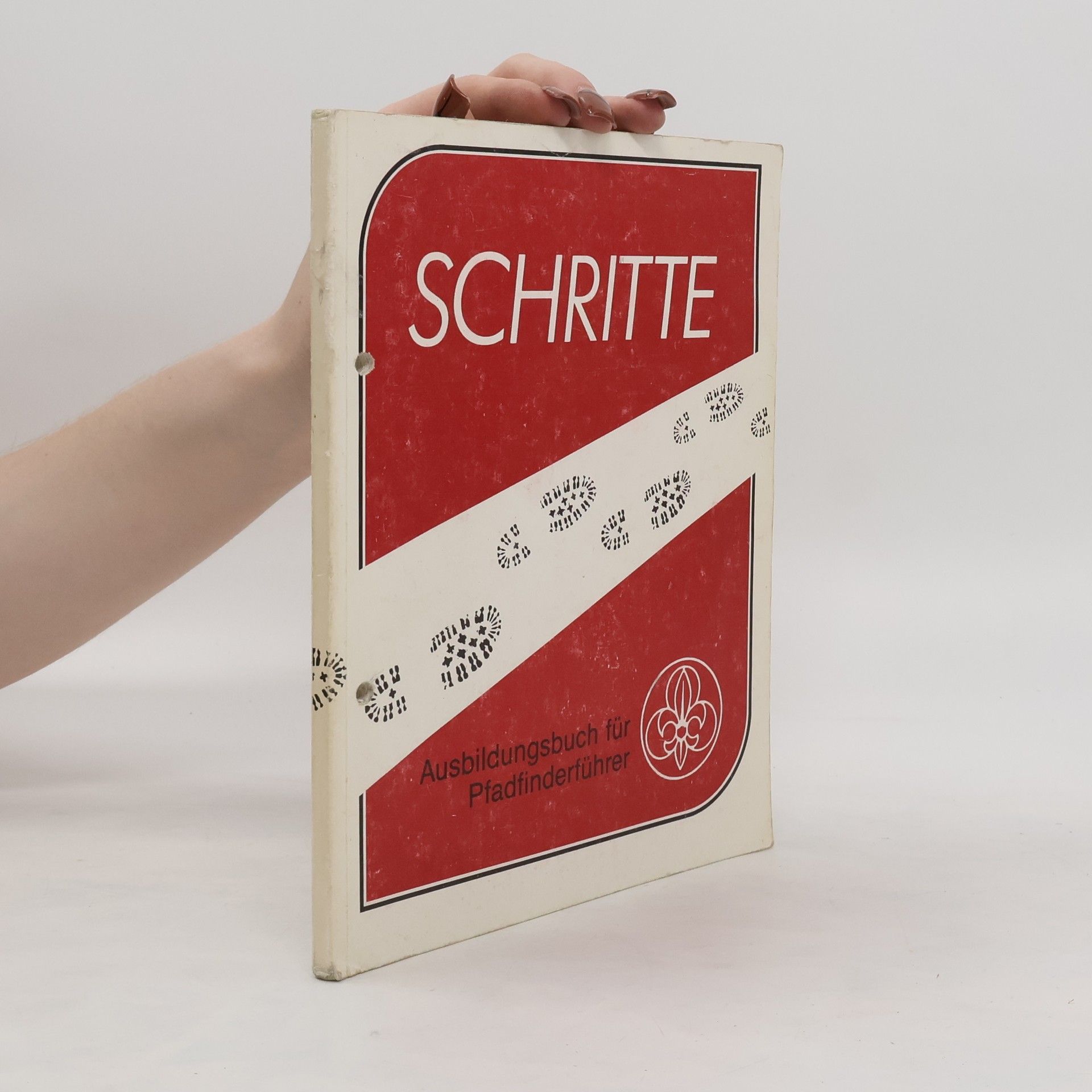 Armin Hollerweger Schritte