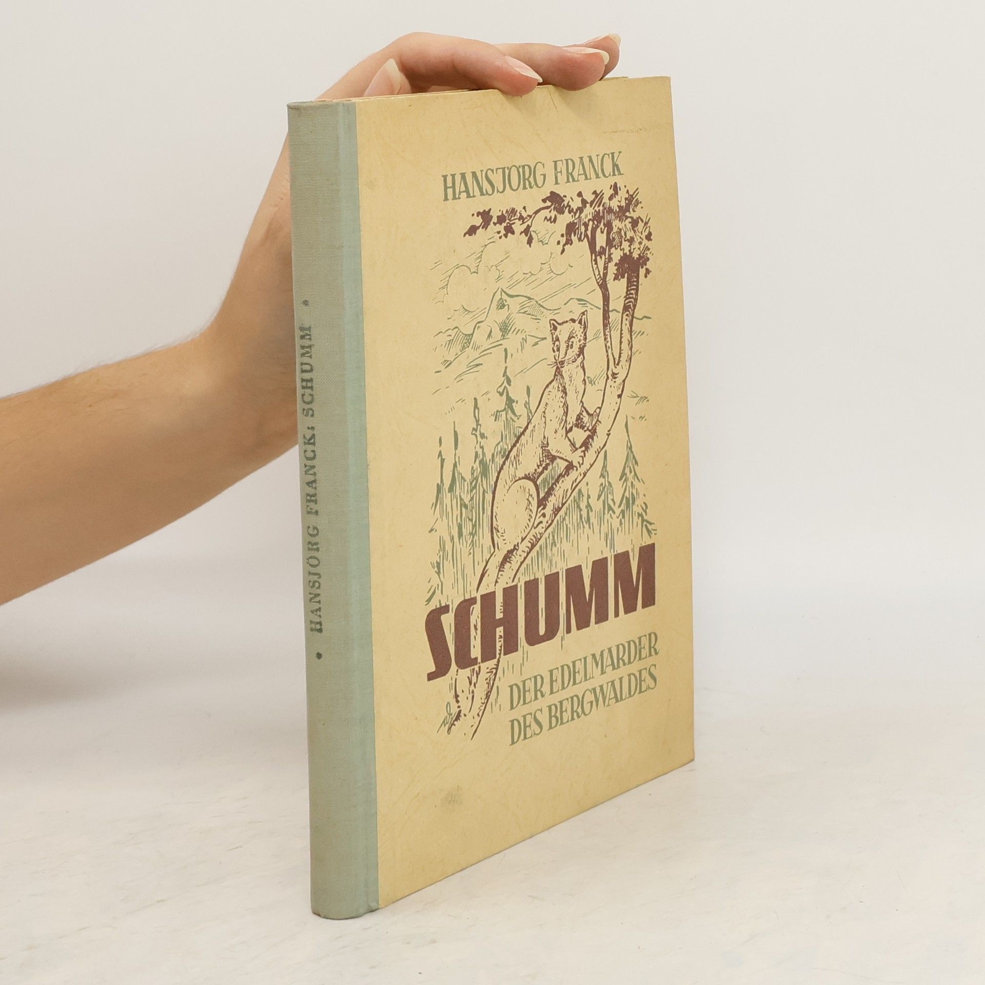 Hansjörg Franck Schumm der Edelmarder des Bergwaldes