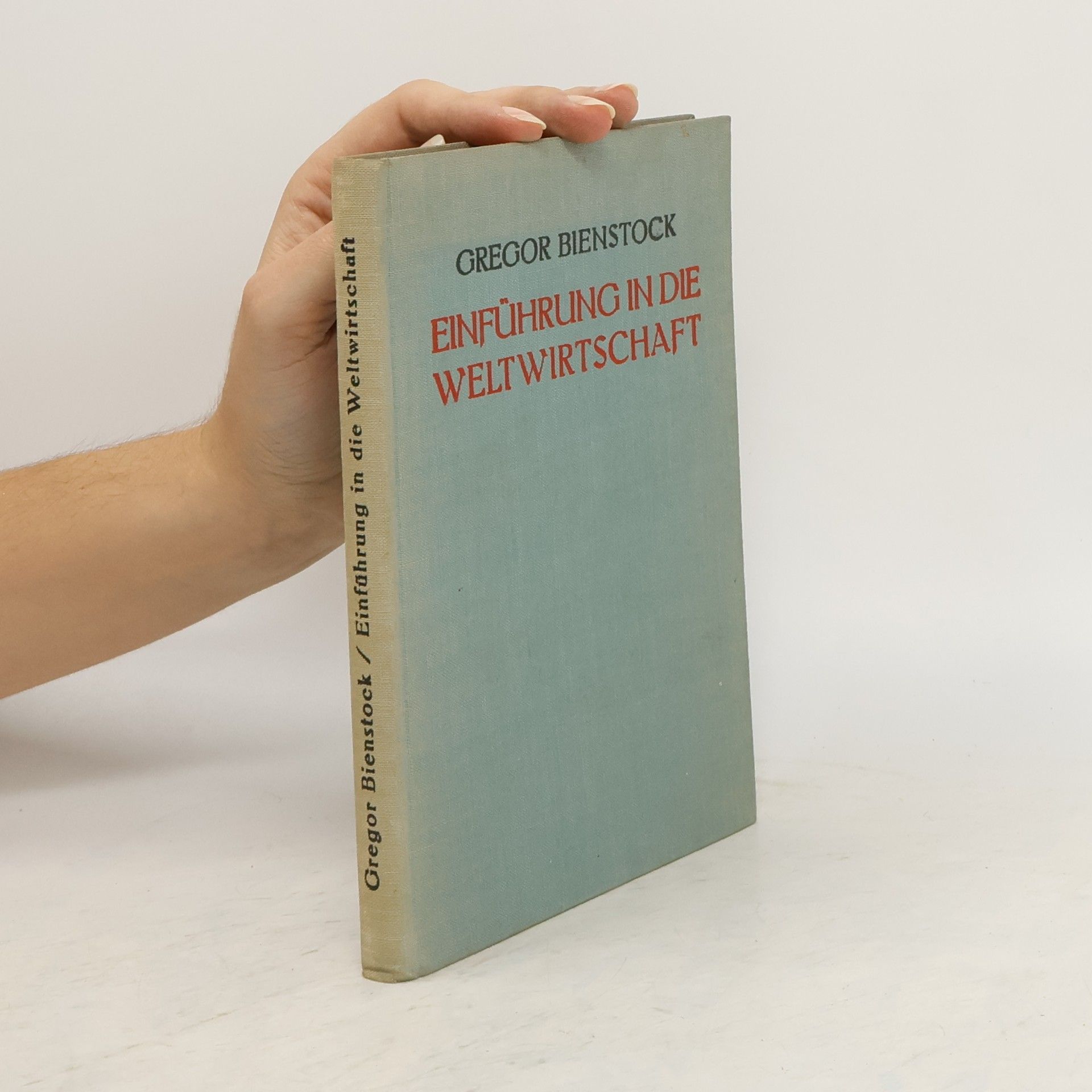Gregor Bienstock Einführung in die Weltwirtschaft