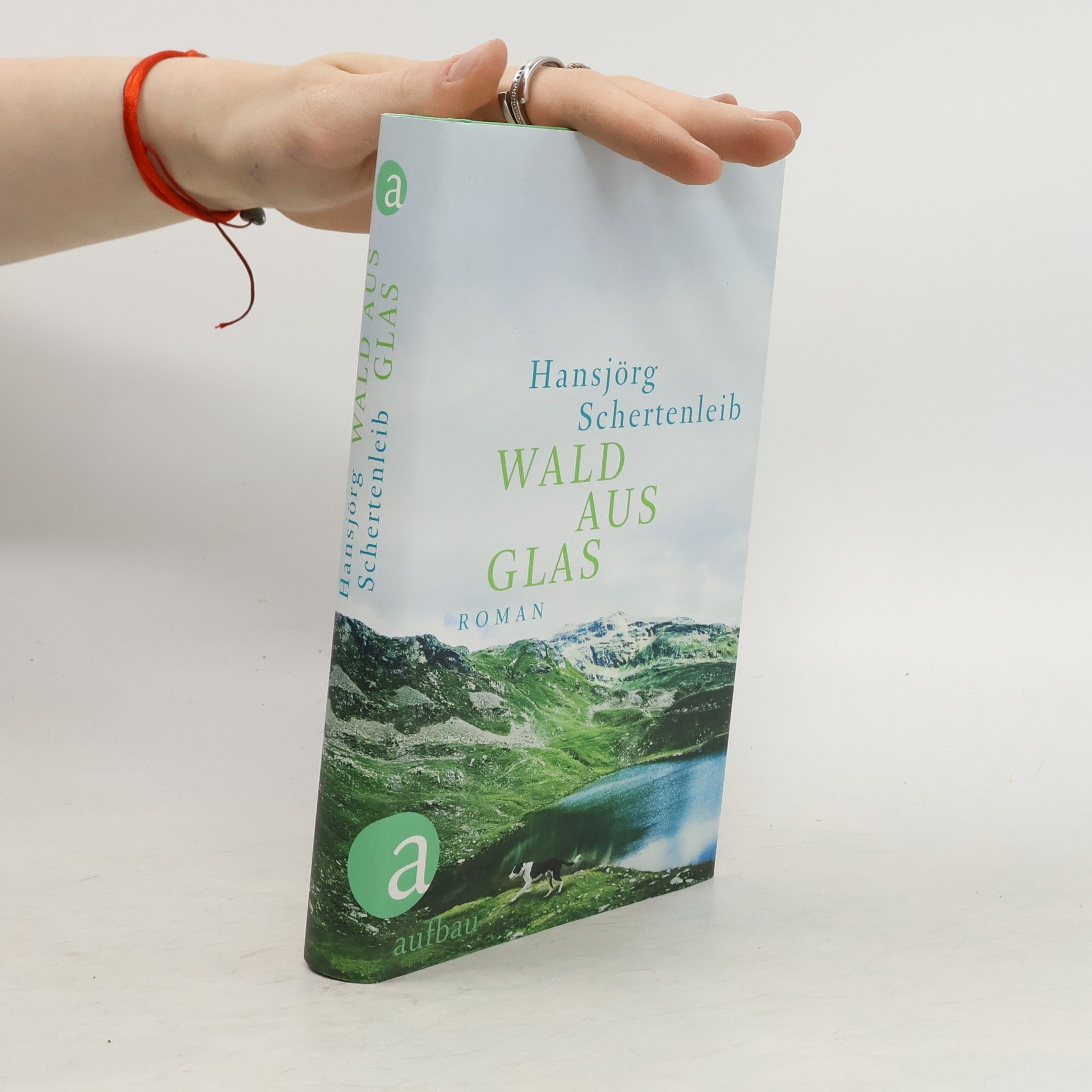 Hansjörg Schertenleib Wald aus Glas