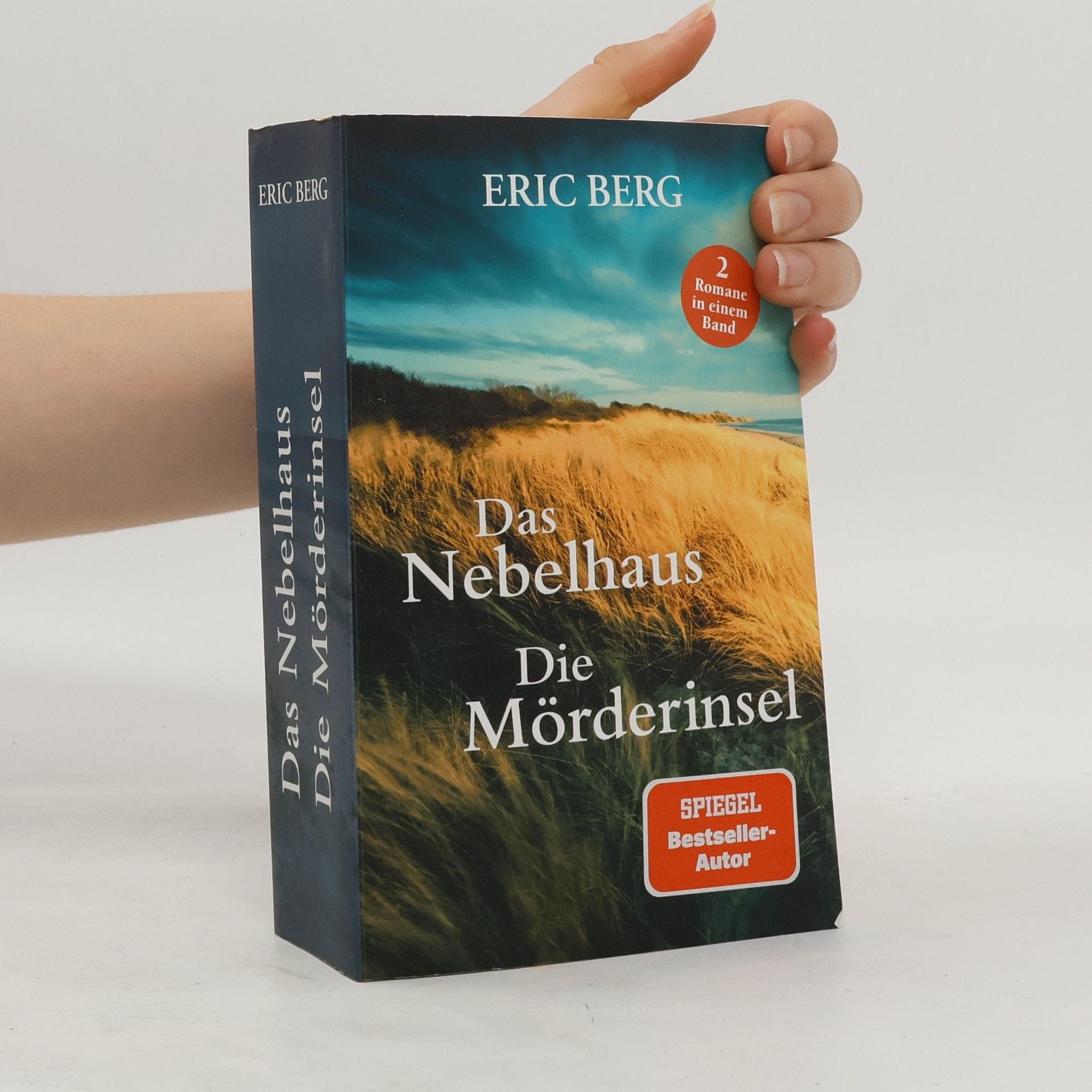 Eric Berg Das Nebelhaus. Die Mörderinsel