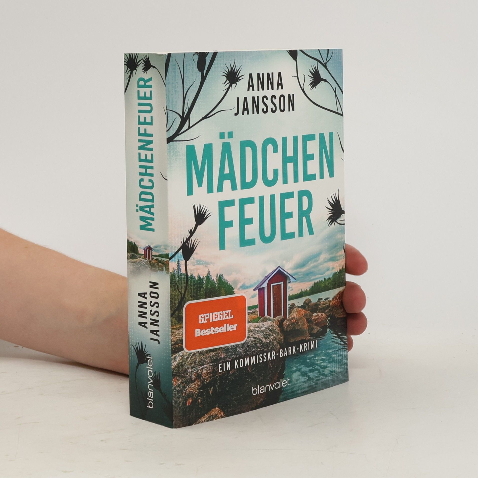 Anna Jansson Mädchenfeuer
