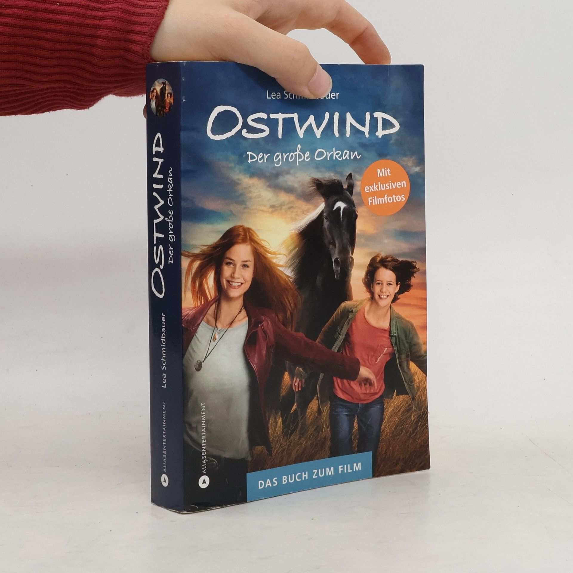 Lea Schmidbauer Ostwind. Der große Orkan