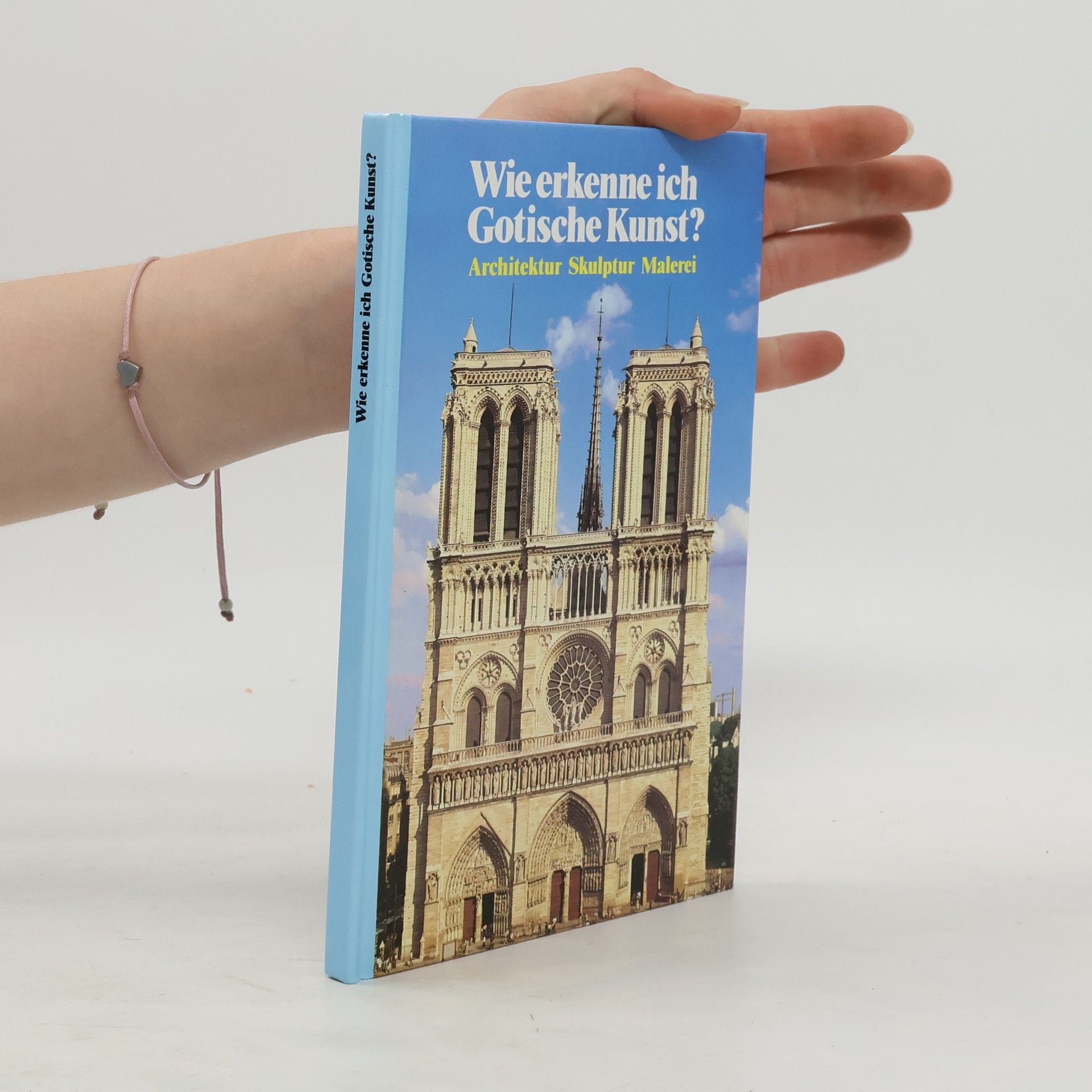 Maria Cristina Gozzoli Wie erkenne ich gotische Kunst?