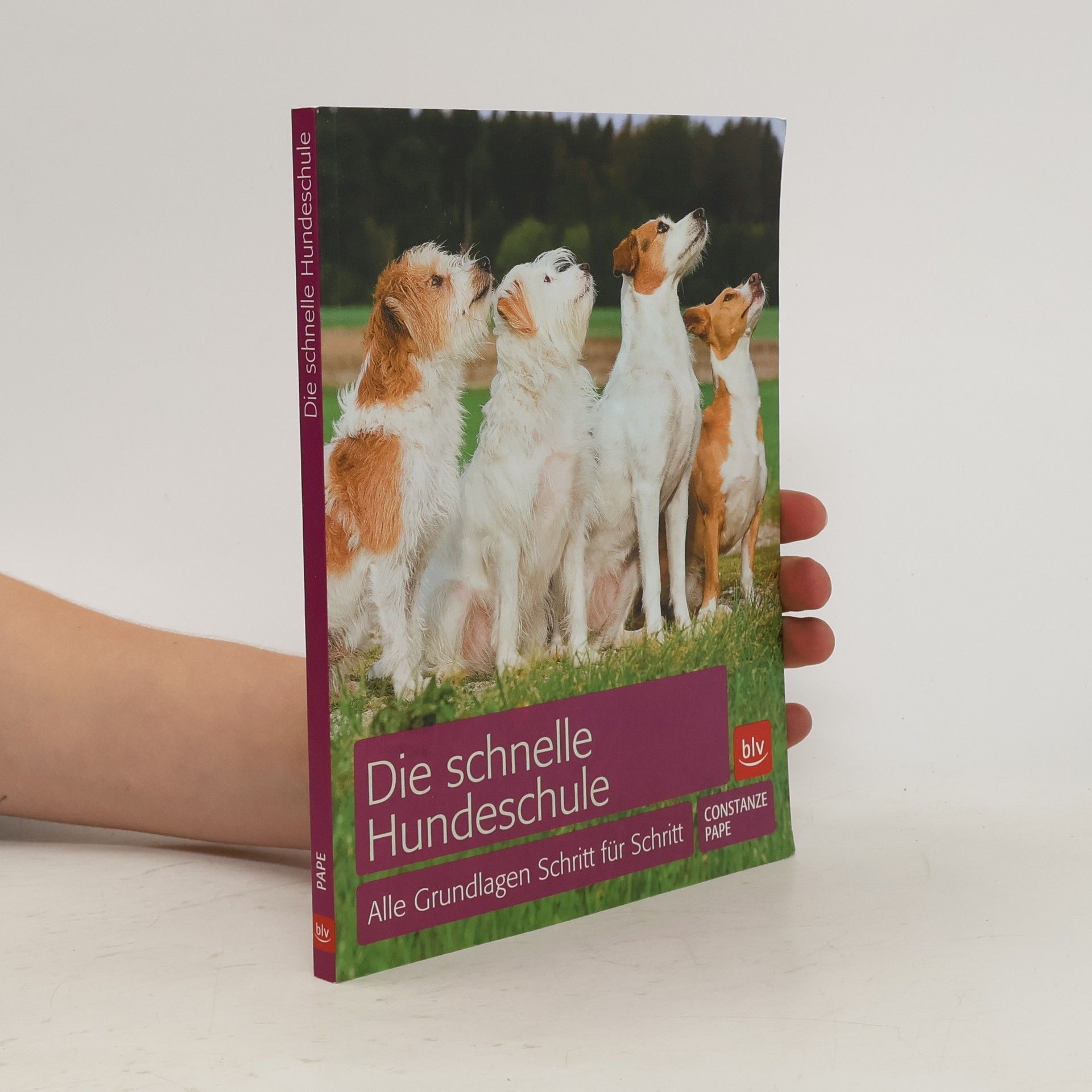 Constanze Pape Die schnelle Hundeschule