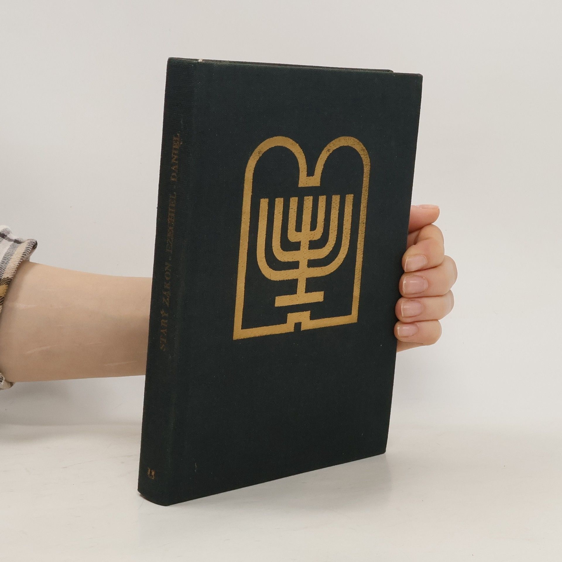 Autorenkollektiv Starý zákon. Překlad s výkladem 13. Ezechiel-Daniel