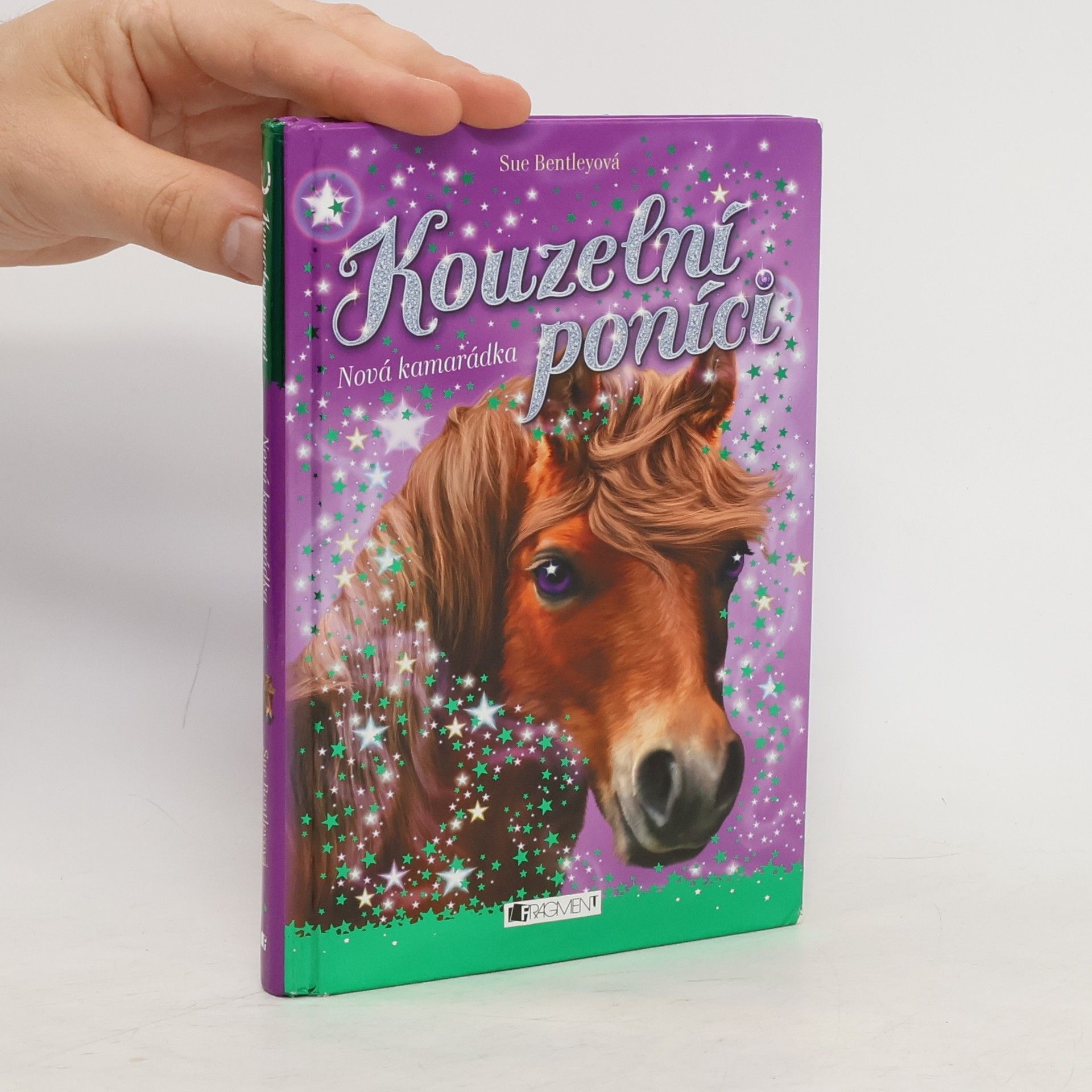 Sue Bentley Nová kamarádka