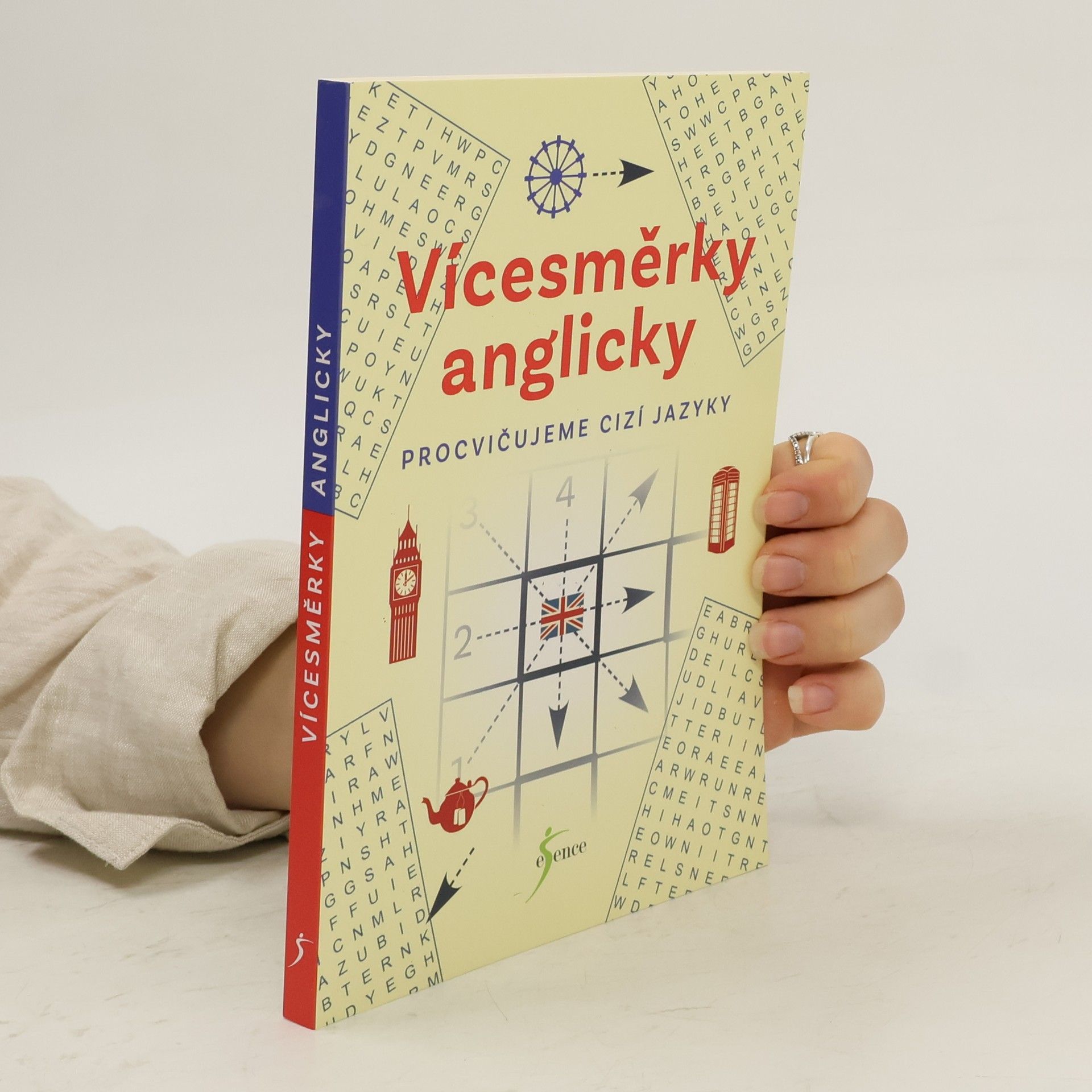 Autores varios Vícesměrky anglicky – procvičujeme cizí jazyky