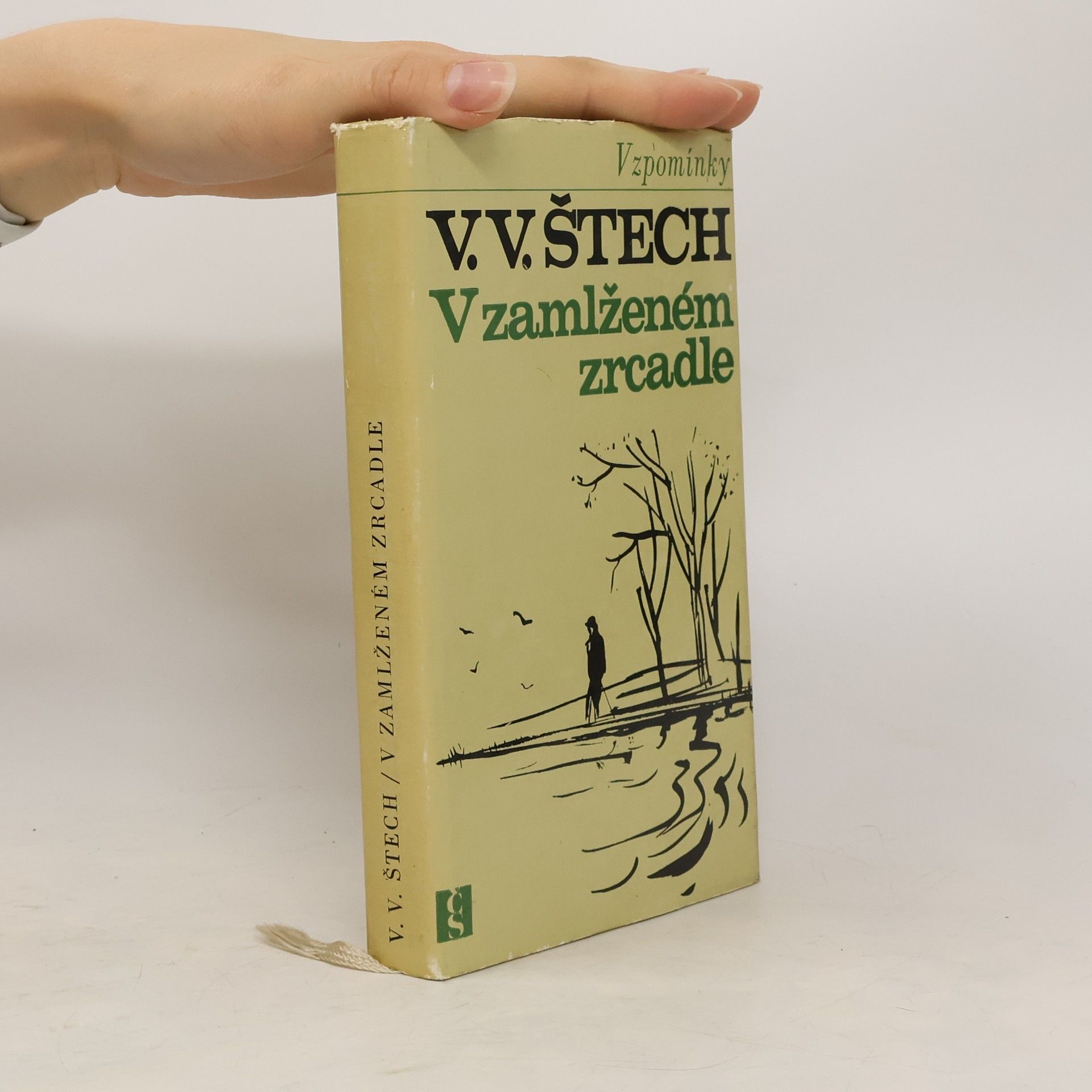 V. V. Štech V zamlženém zrcadle 1