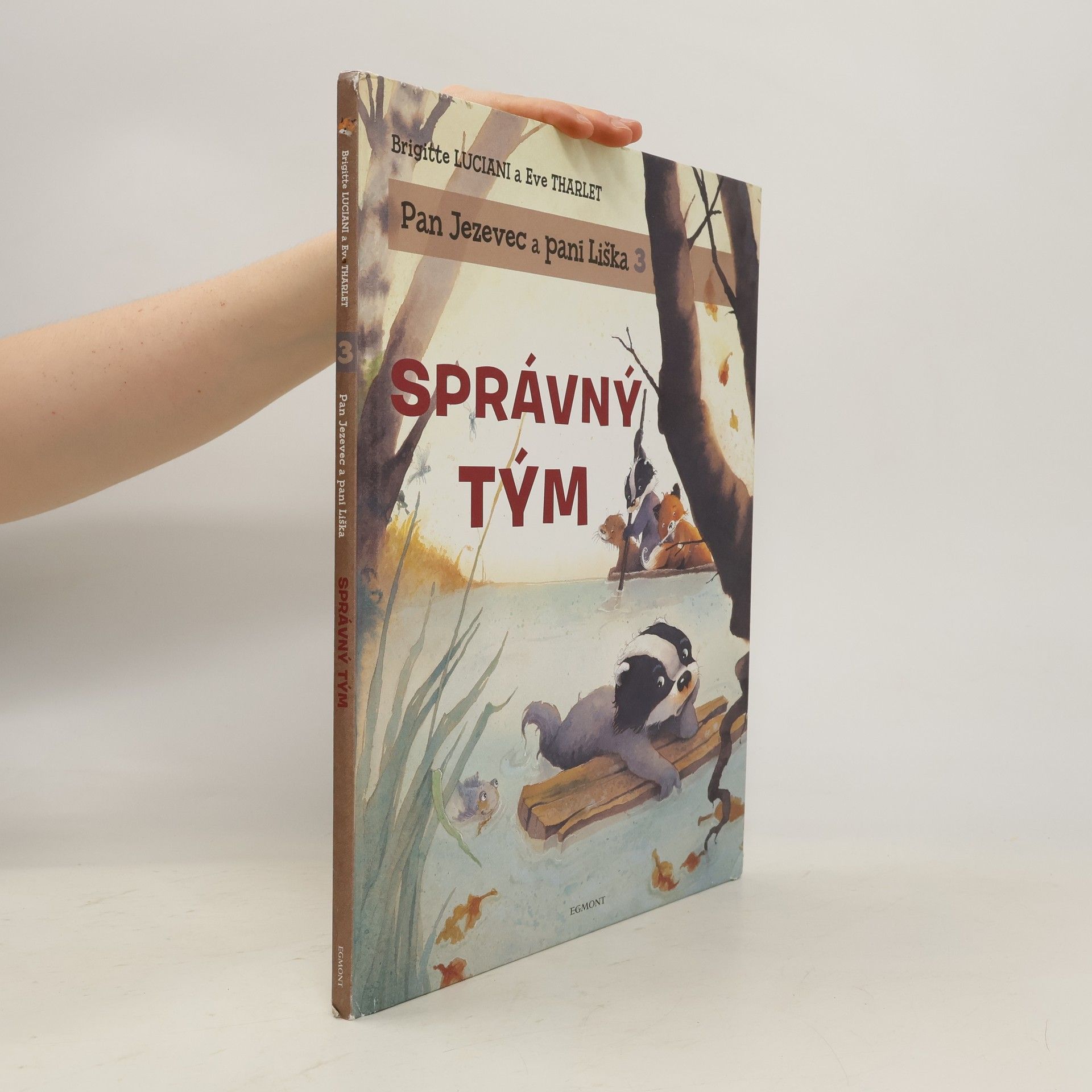 Brigitte Luciani Správný tým