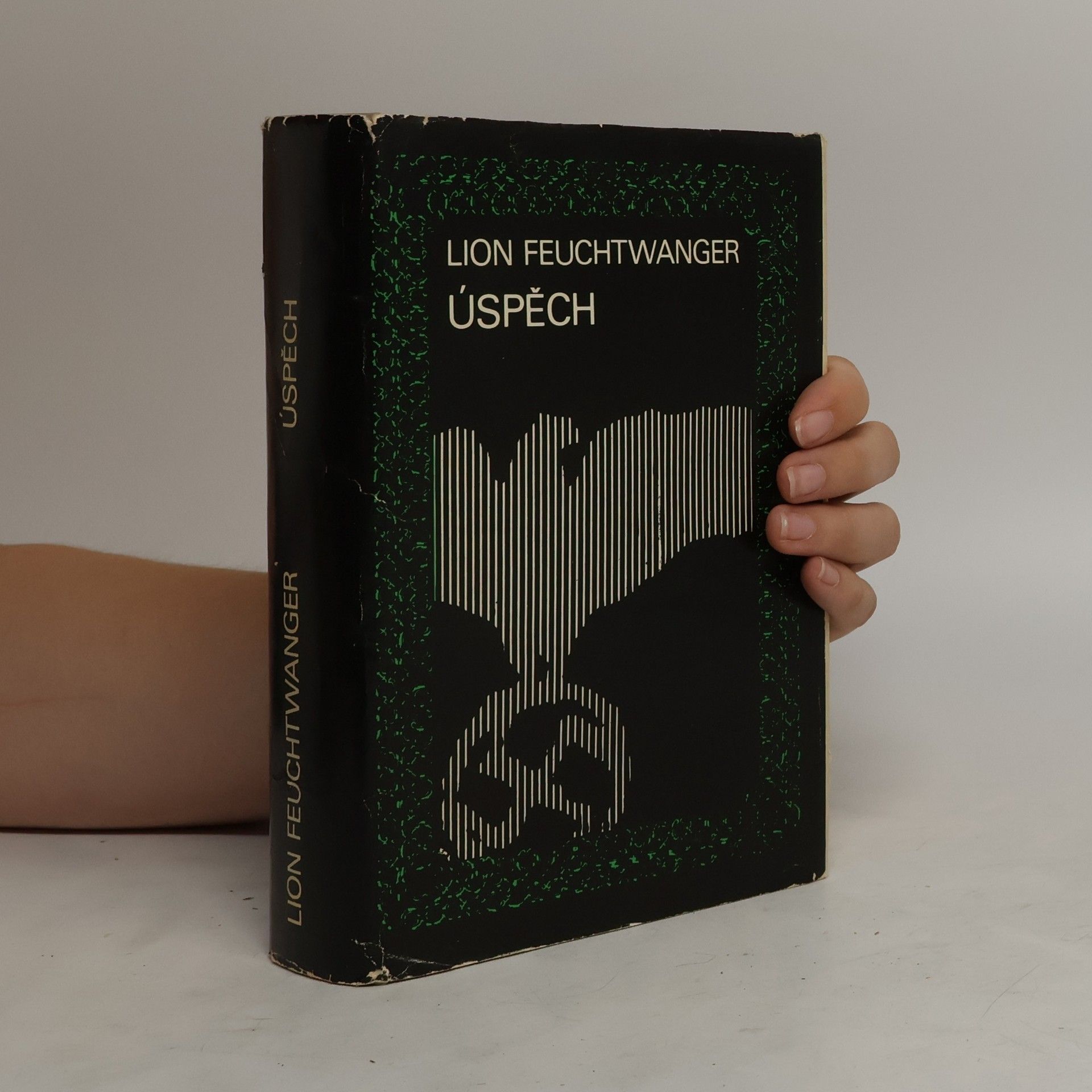 Lion Feuchtwanger Úspěch