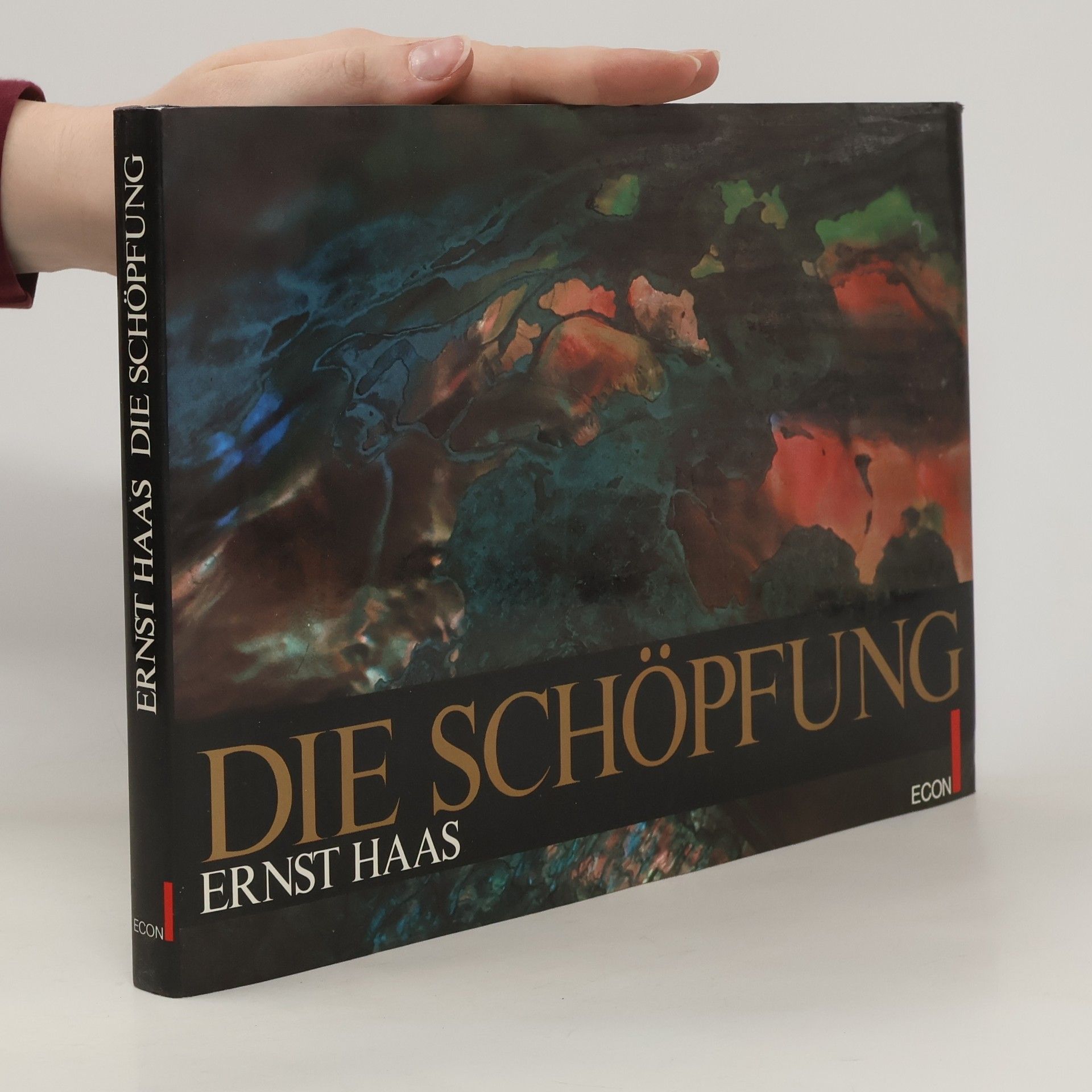 Ernst Haas Die Schöpfung
