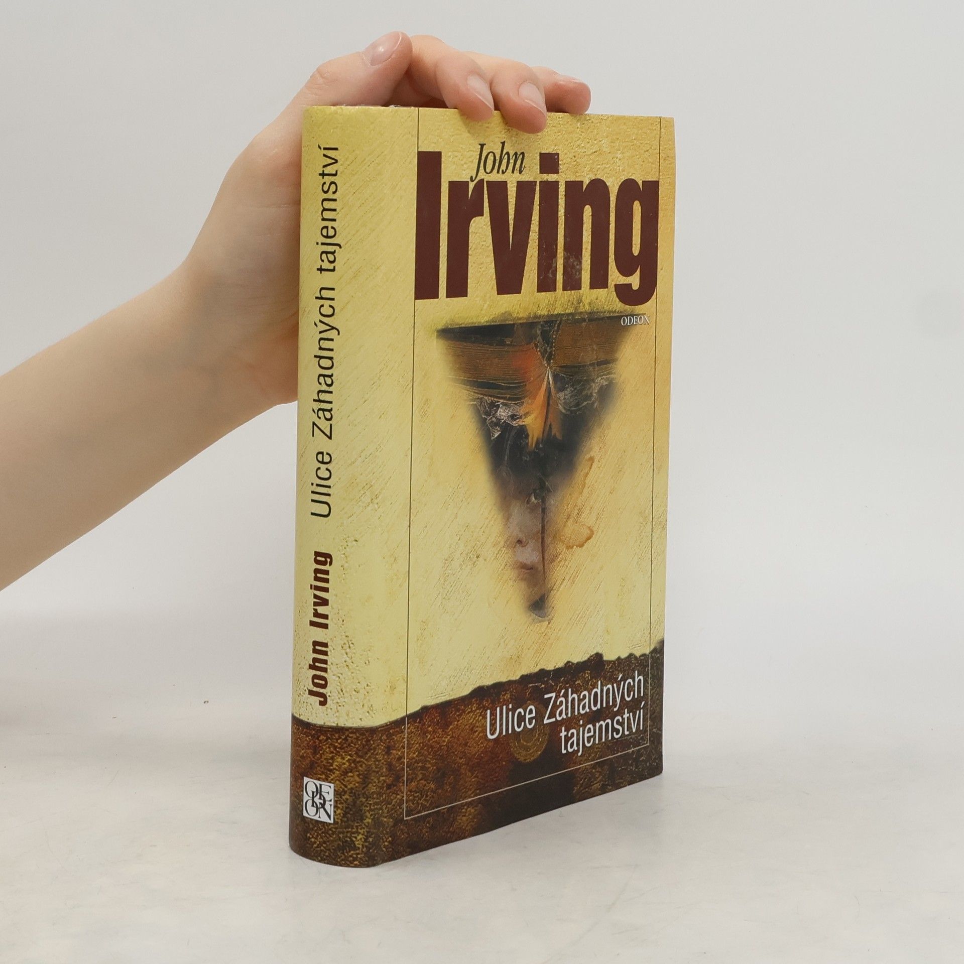 John Irving Ulice Záhadných tajemství