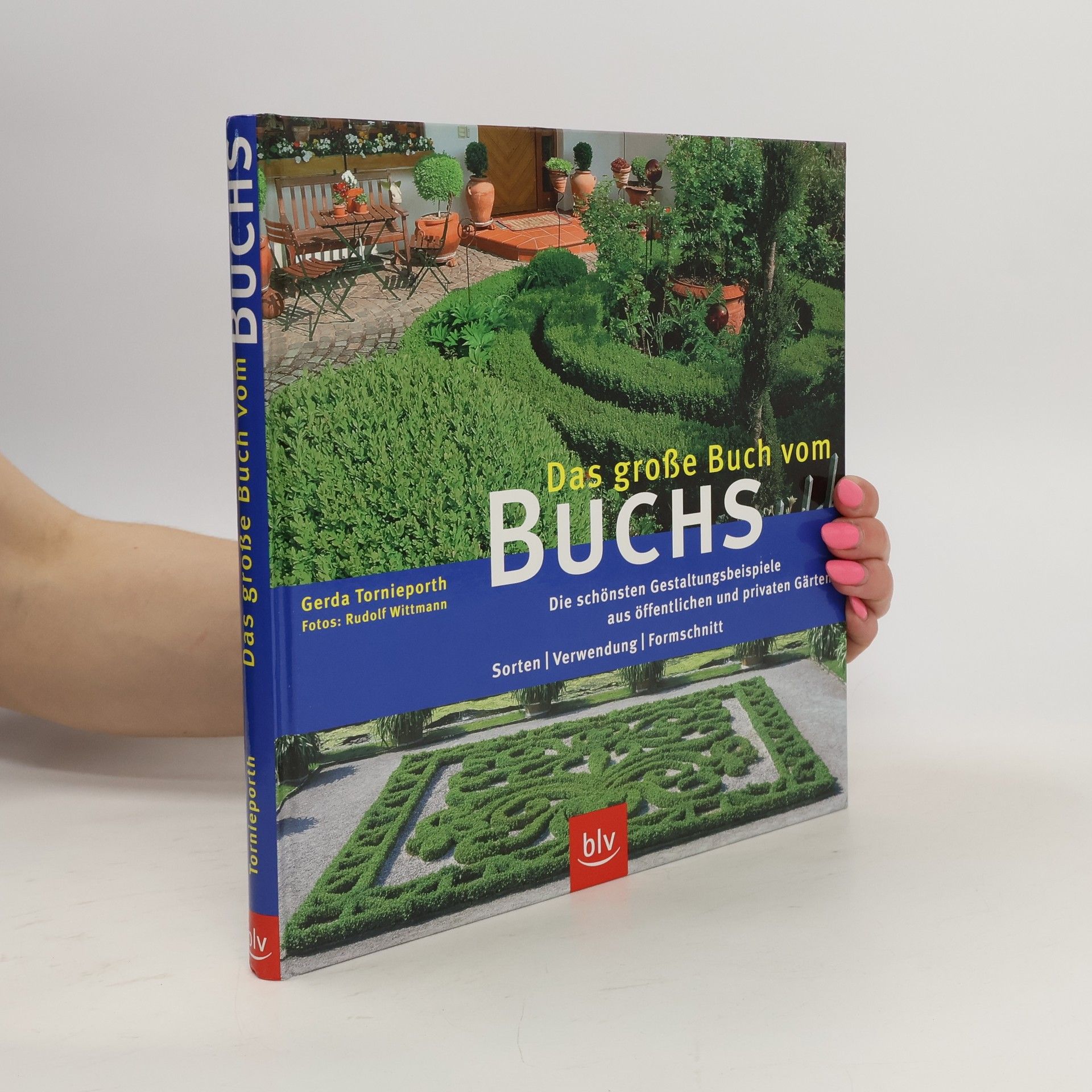 Gerda Tornieporth Das große Buch vom Buchs