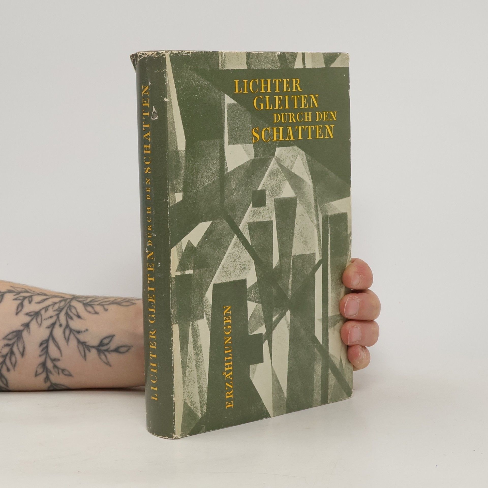 Kolektiv autorů Lichter gleiten durch den Schatten