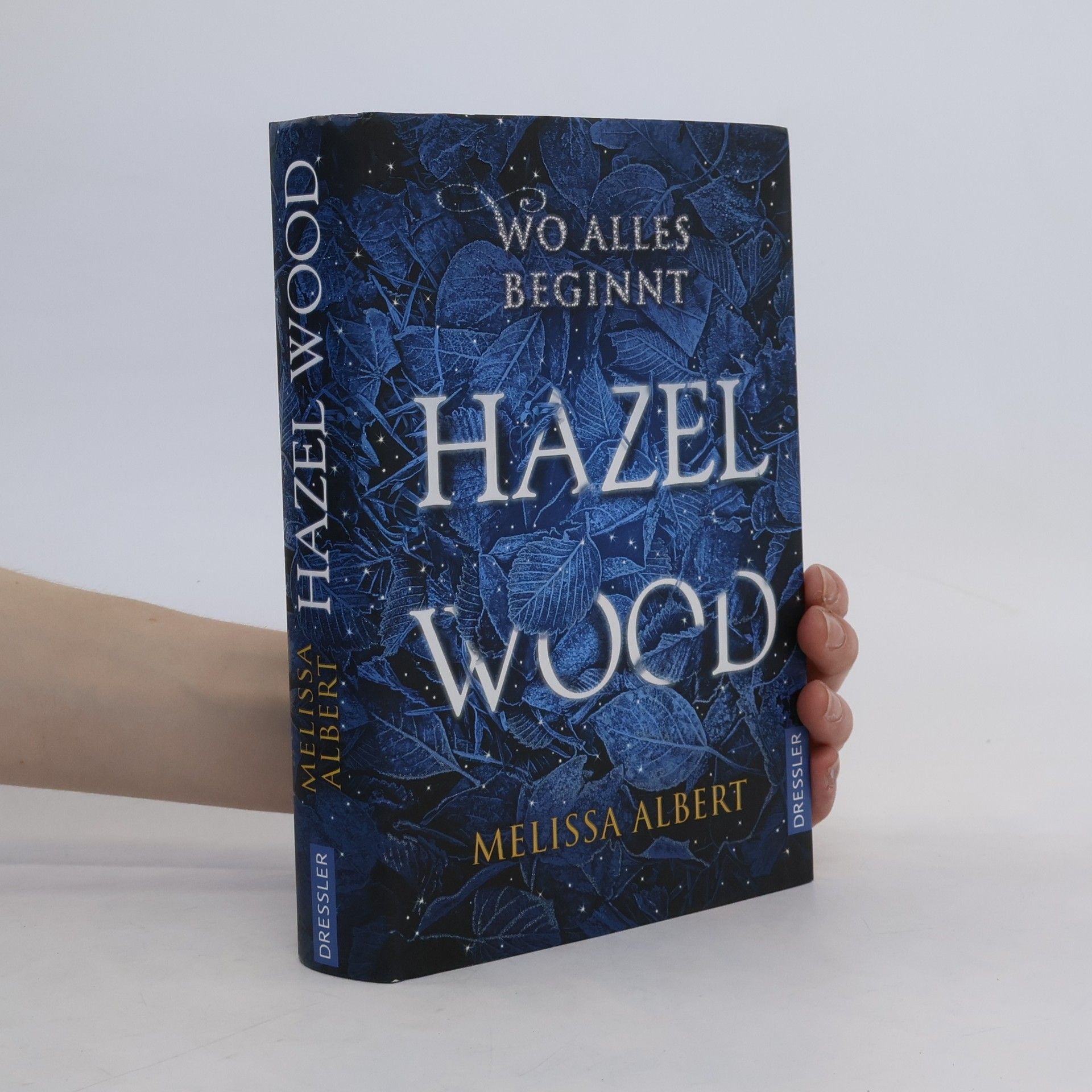 Melissa Albert Hazel Wood: Wo alles beginnt