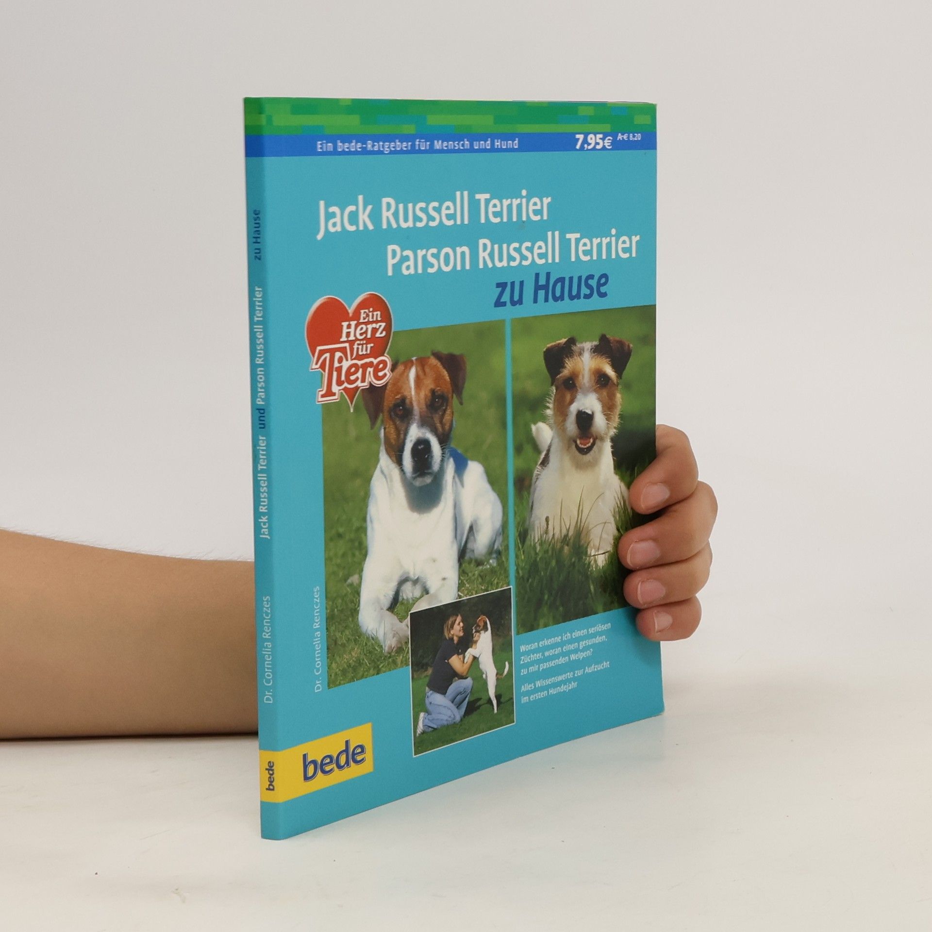 Cornelia Renczes Jack Russell Terrier, Parson Russell Terrier zu Hause