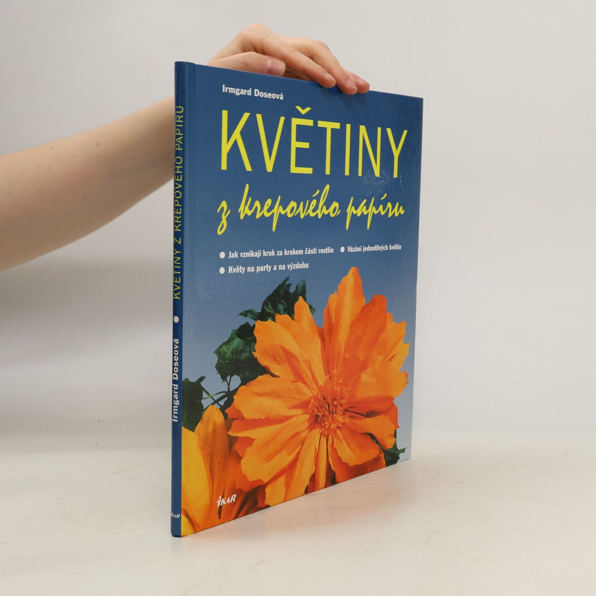 Irmgard Dose Květiny z krepového papíru