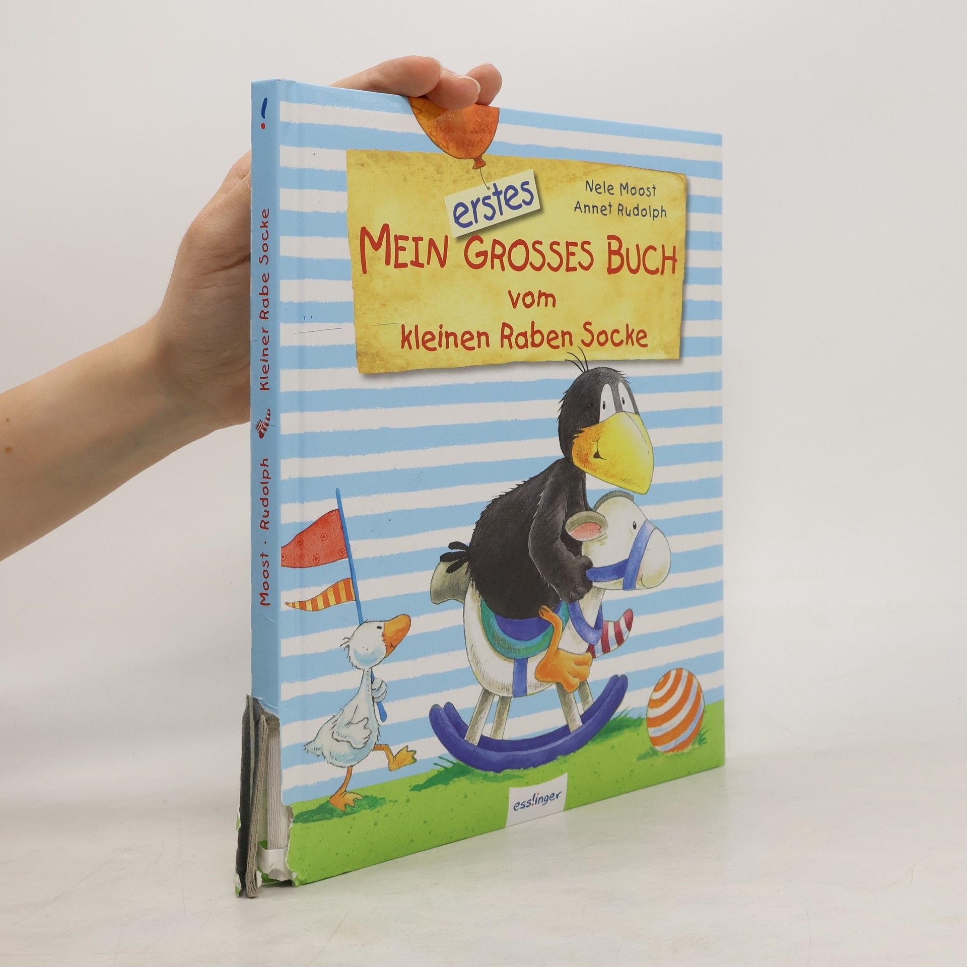 Nele Moost Mein erstes grosses Buch vom kleinen Raben Socke