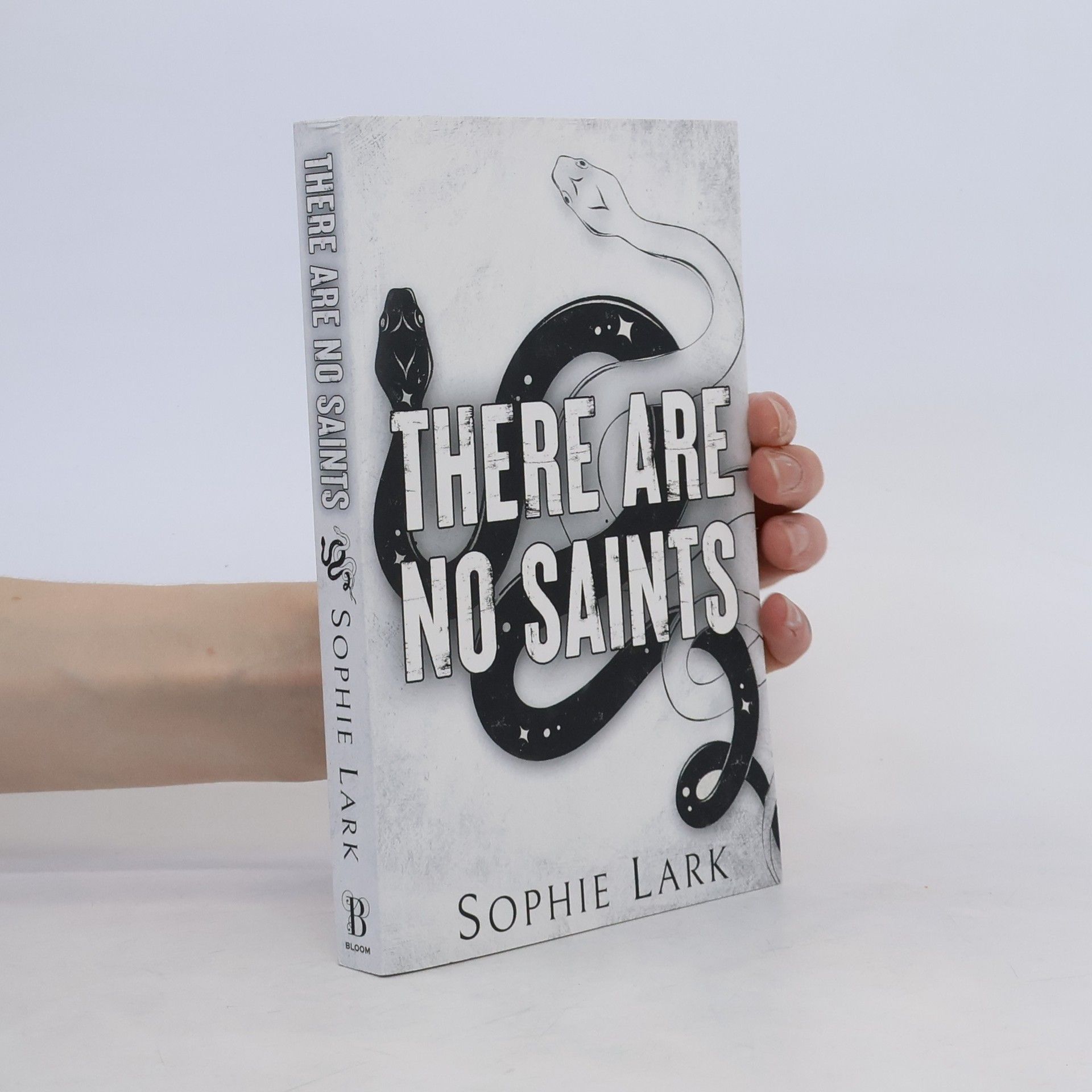 Sophie Lark There Are No Saints