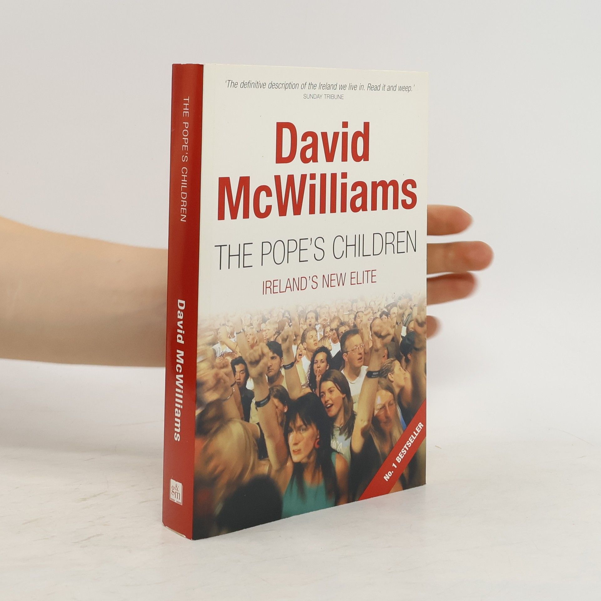 David McWilliams The Pope's Children