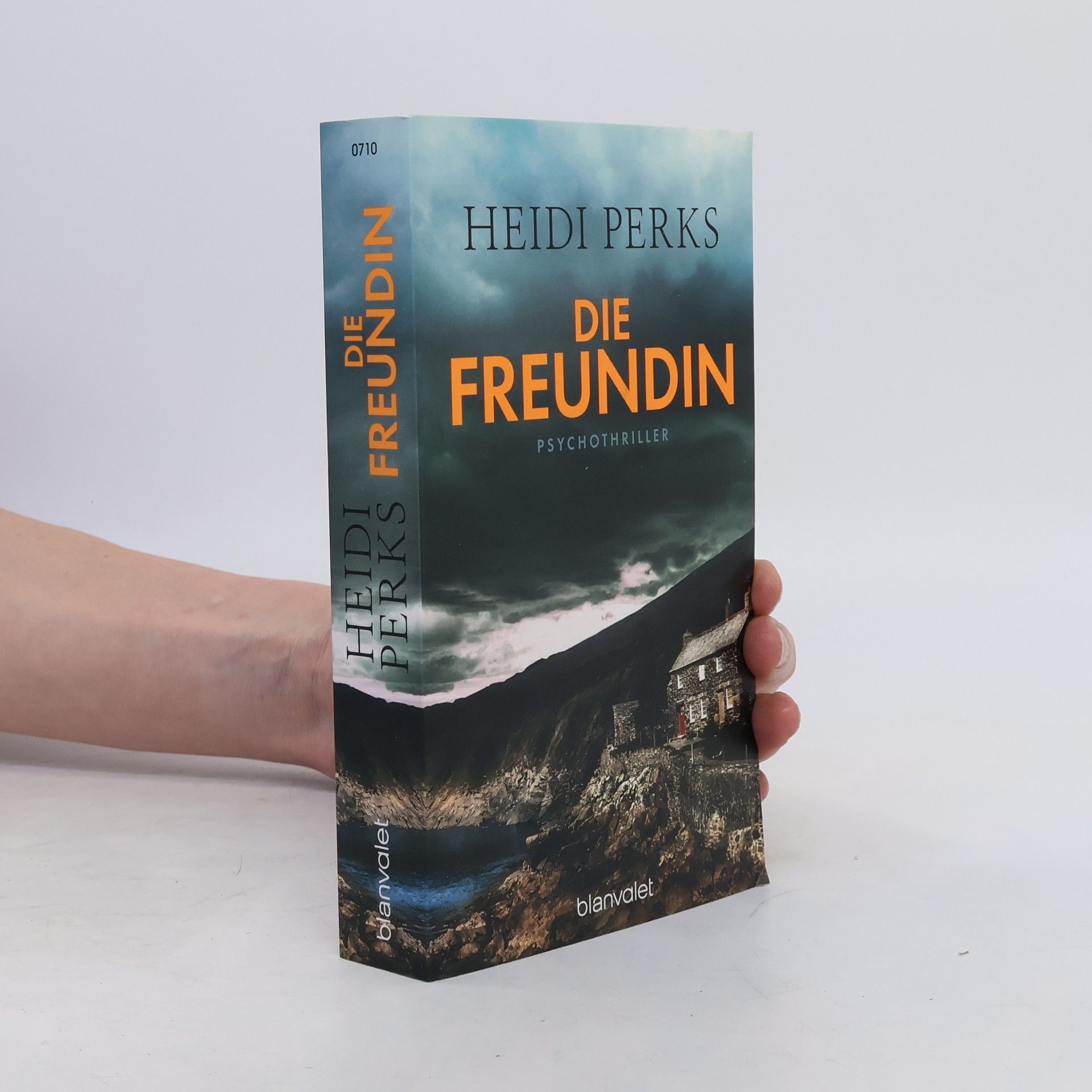 Heidi Perks Die Freundin