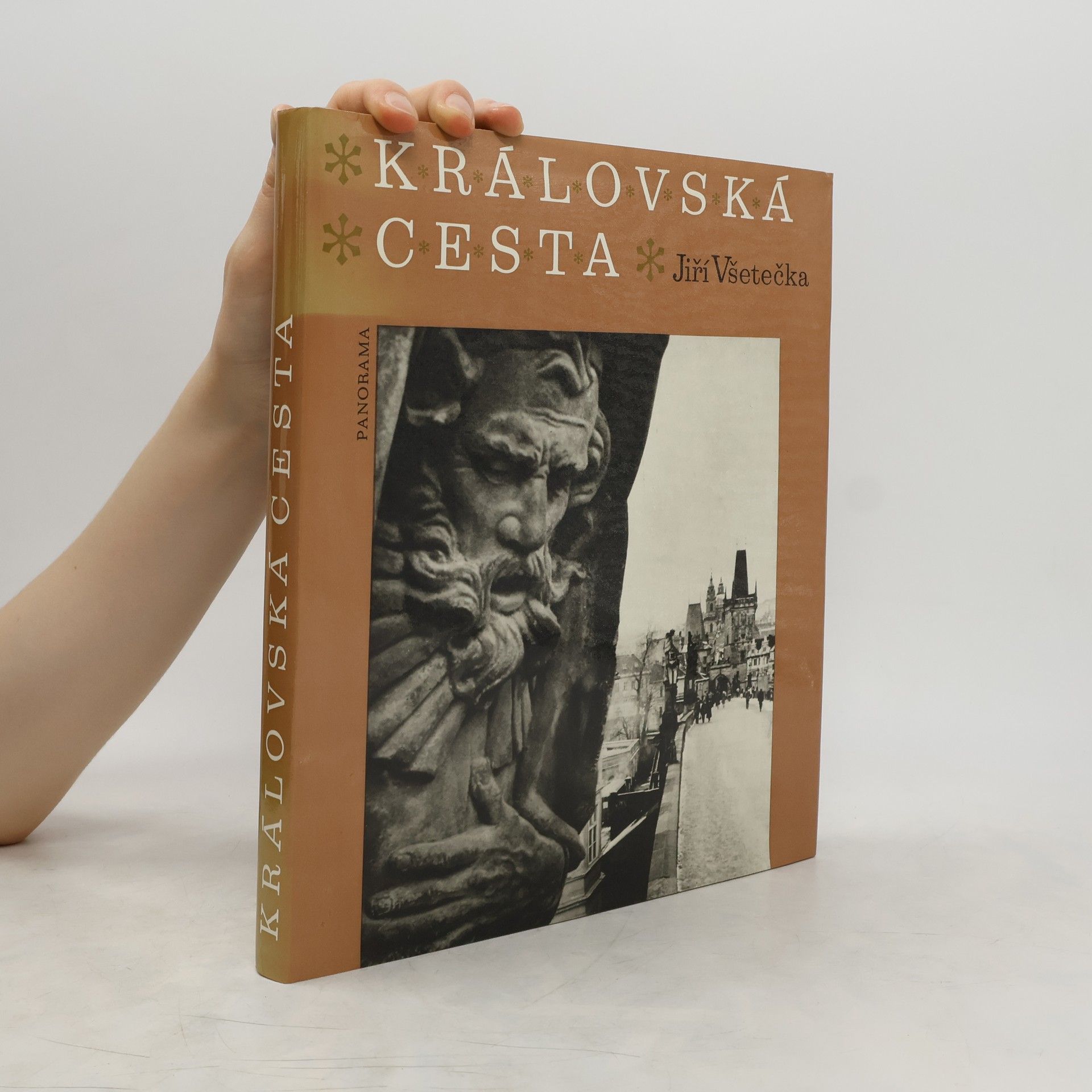 Jiří Všetečka Královská cesta