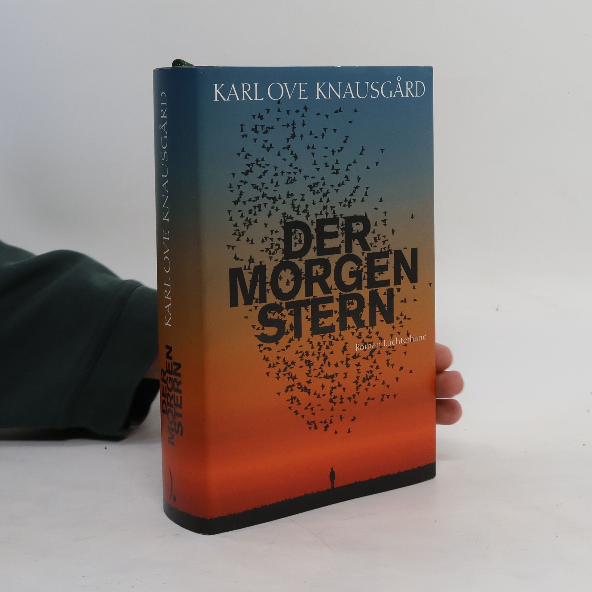 Karl Ove Knausgård Der Morgenstern